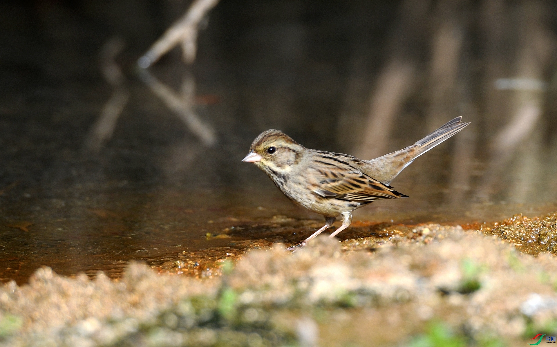 DSC_6029.jpg