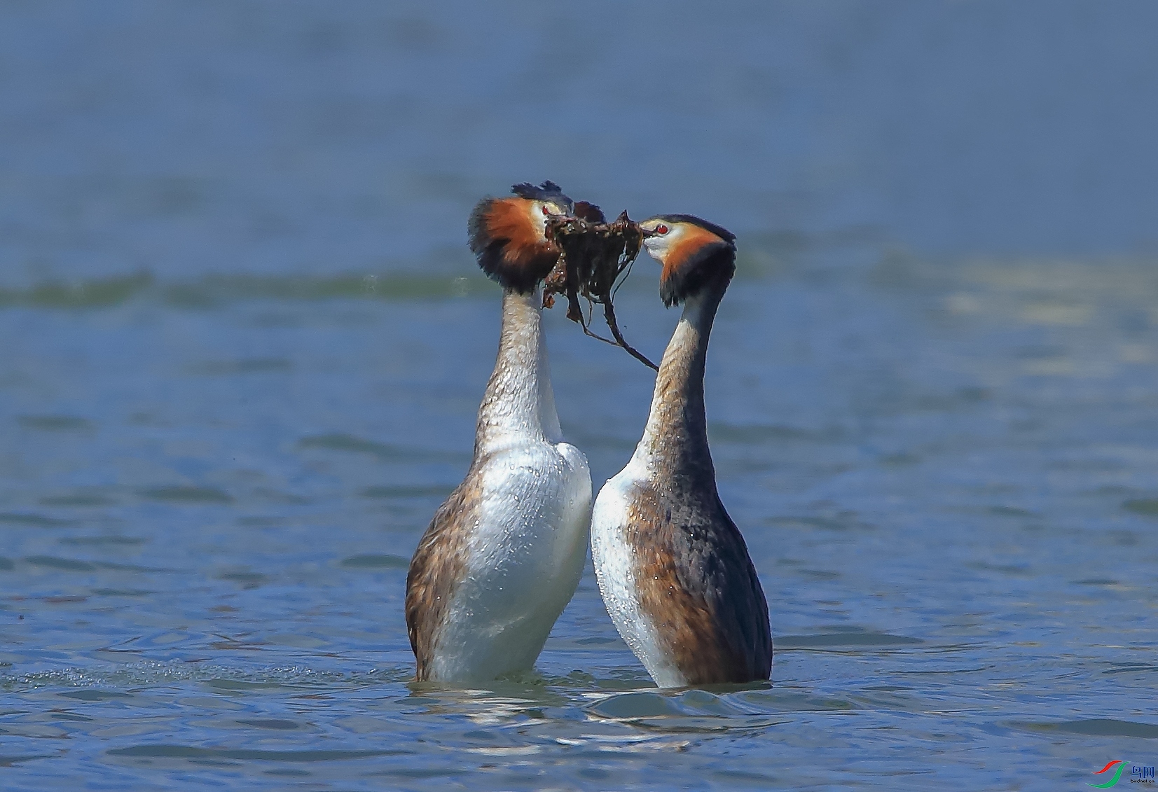 AM6Y0128 ����.jpg