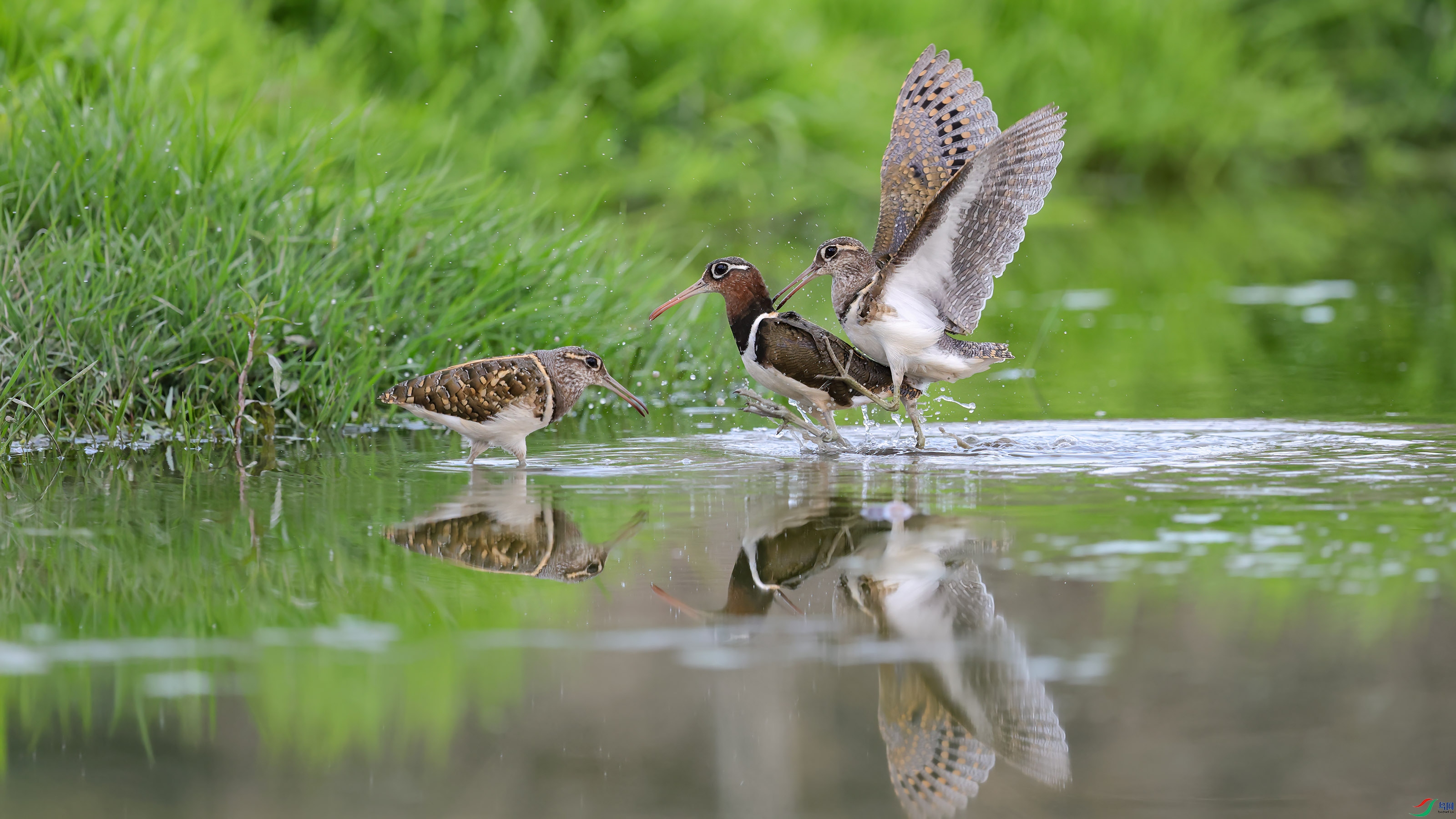 _E8A2207 ����.jpg