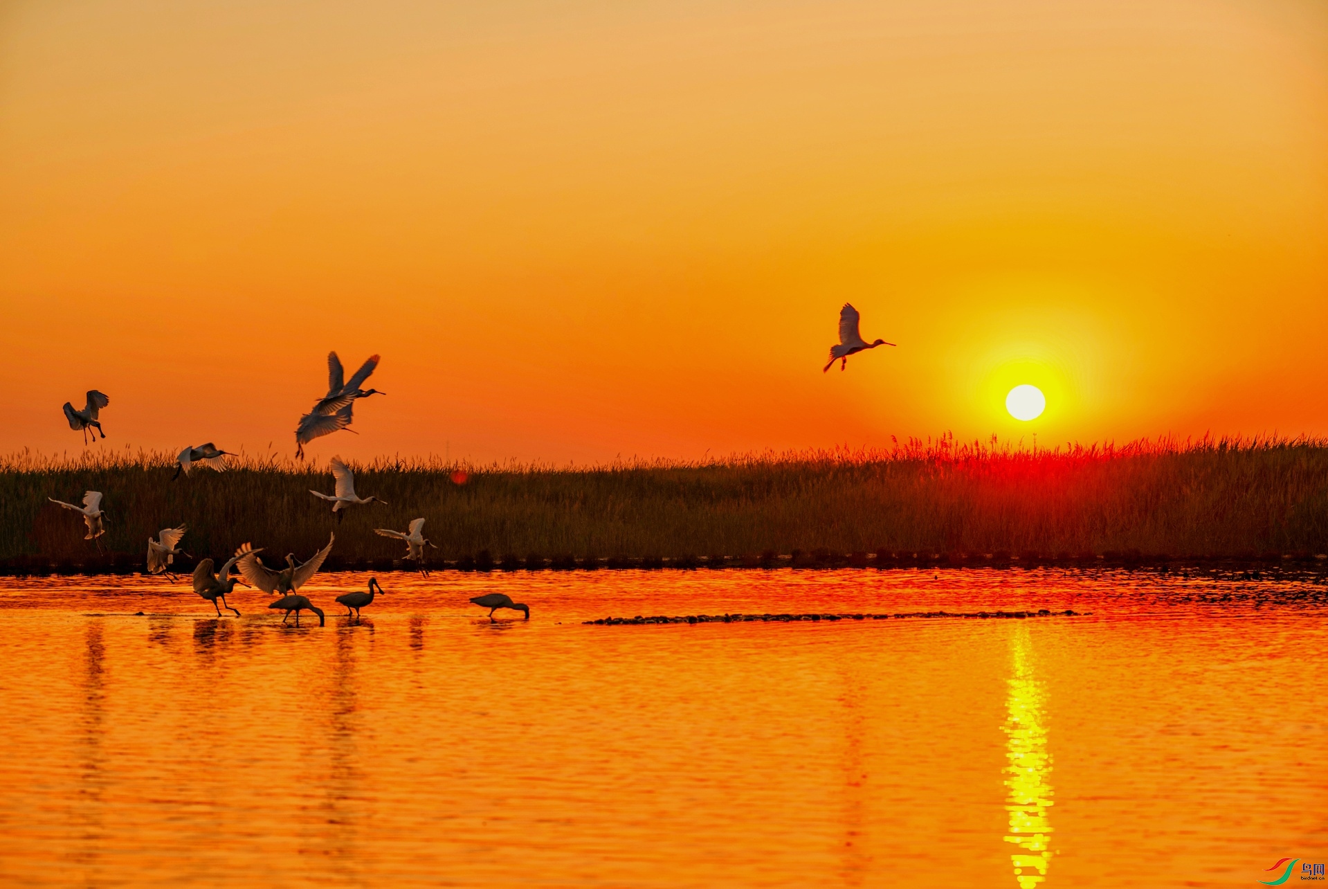 _DSC1021 ����-01.jpeg