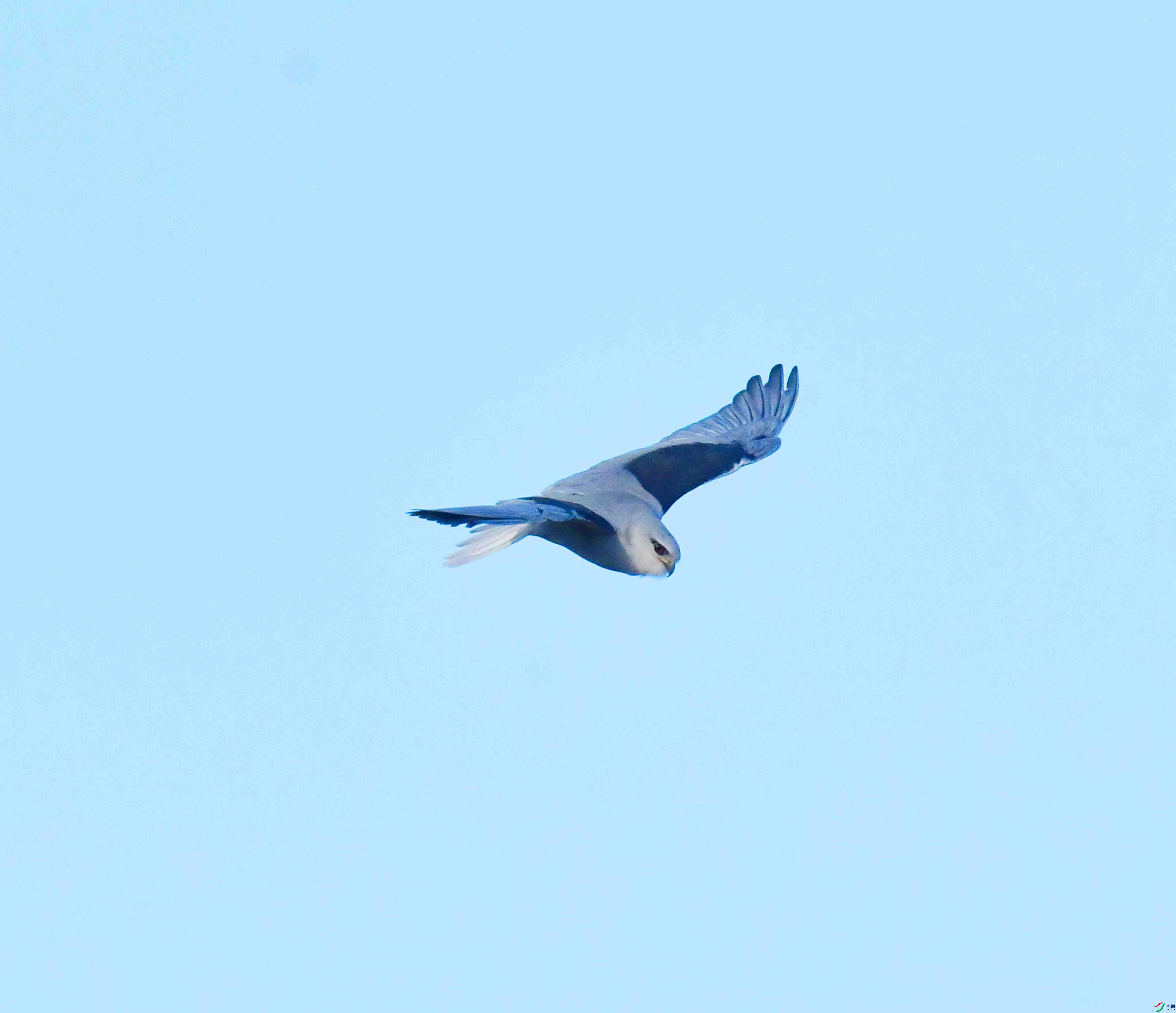DSC_9373.JPG