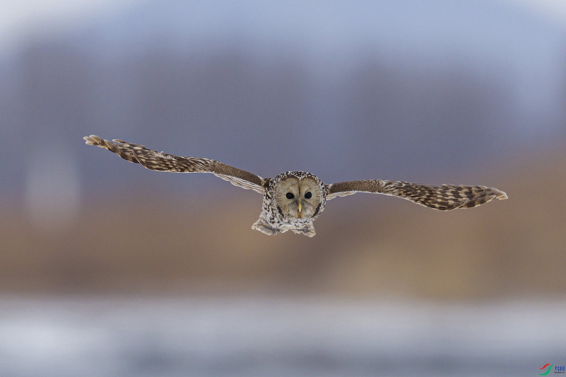 051A5630 ����n.jpg