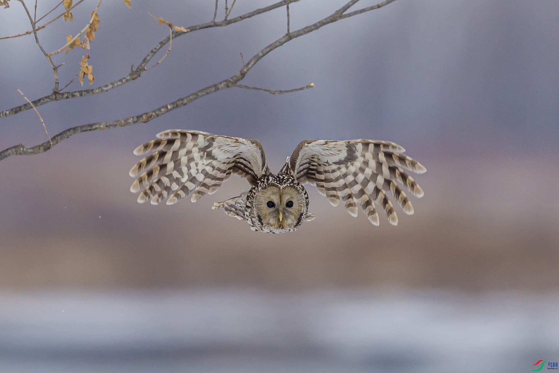 051A5608 ����n.jpg