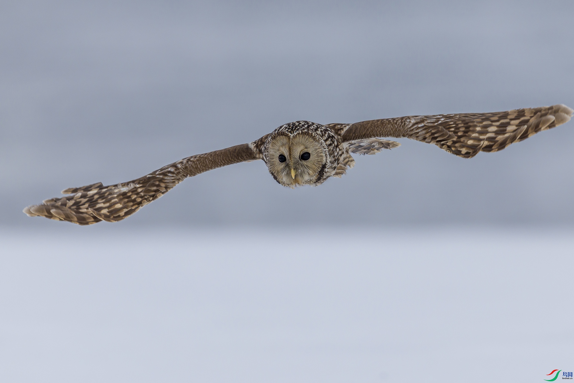 051A5710 ����n.jpg