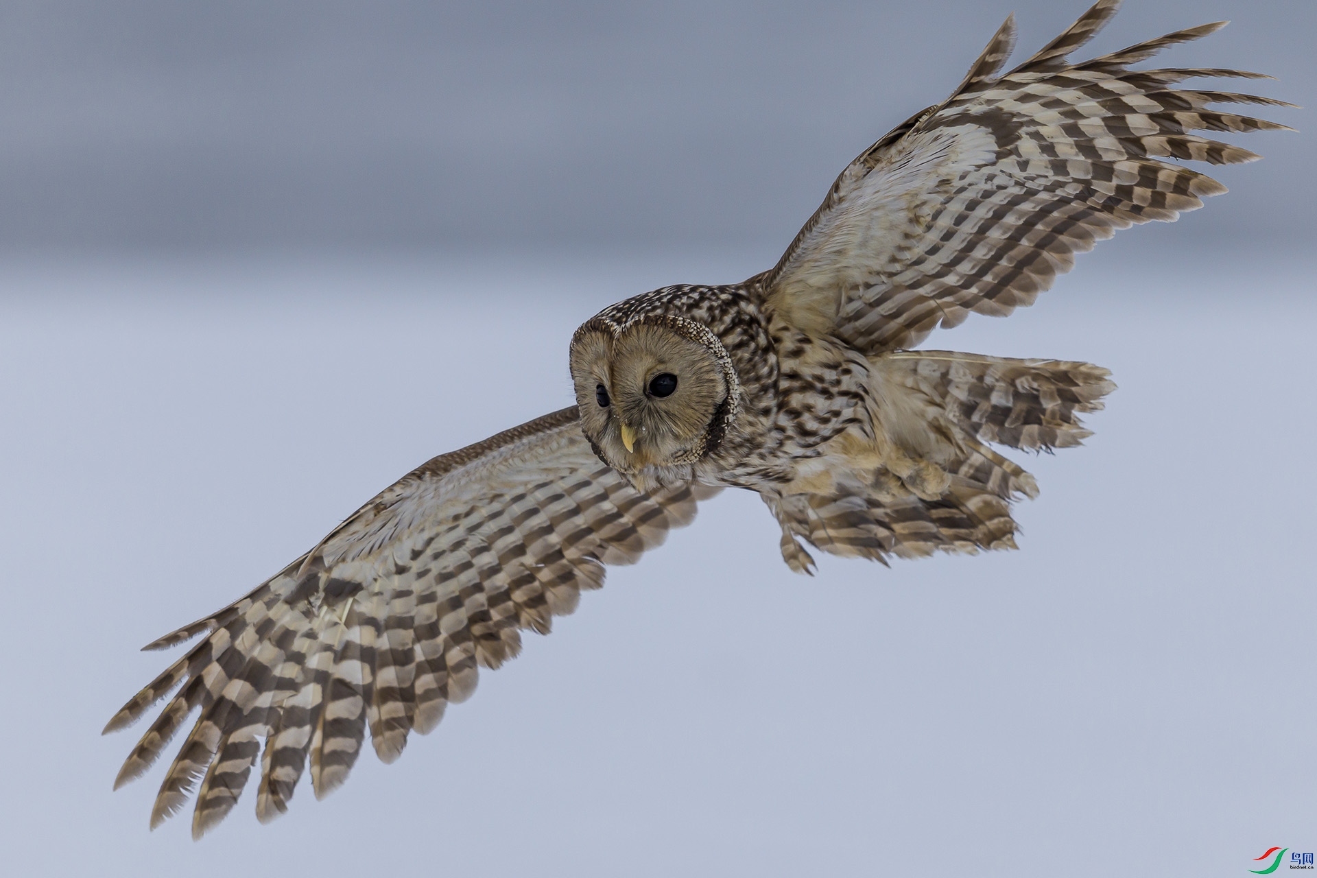 051A5723 ����n.jpg