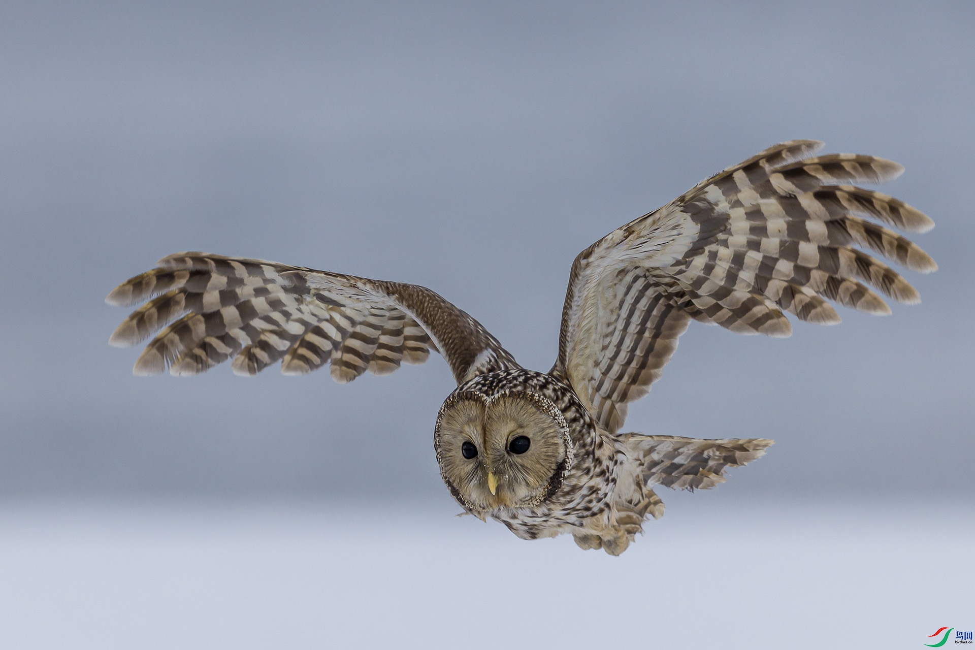 051A5713 ����n.jpg