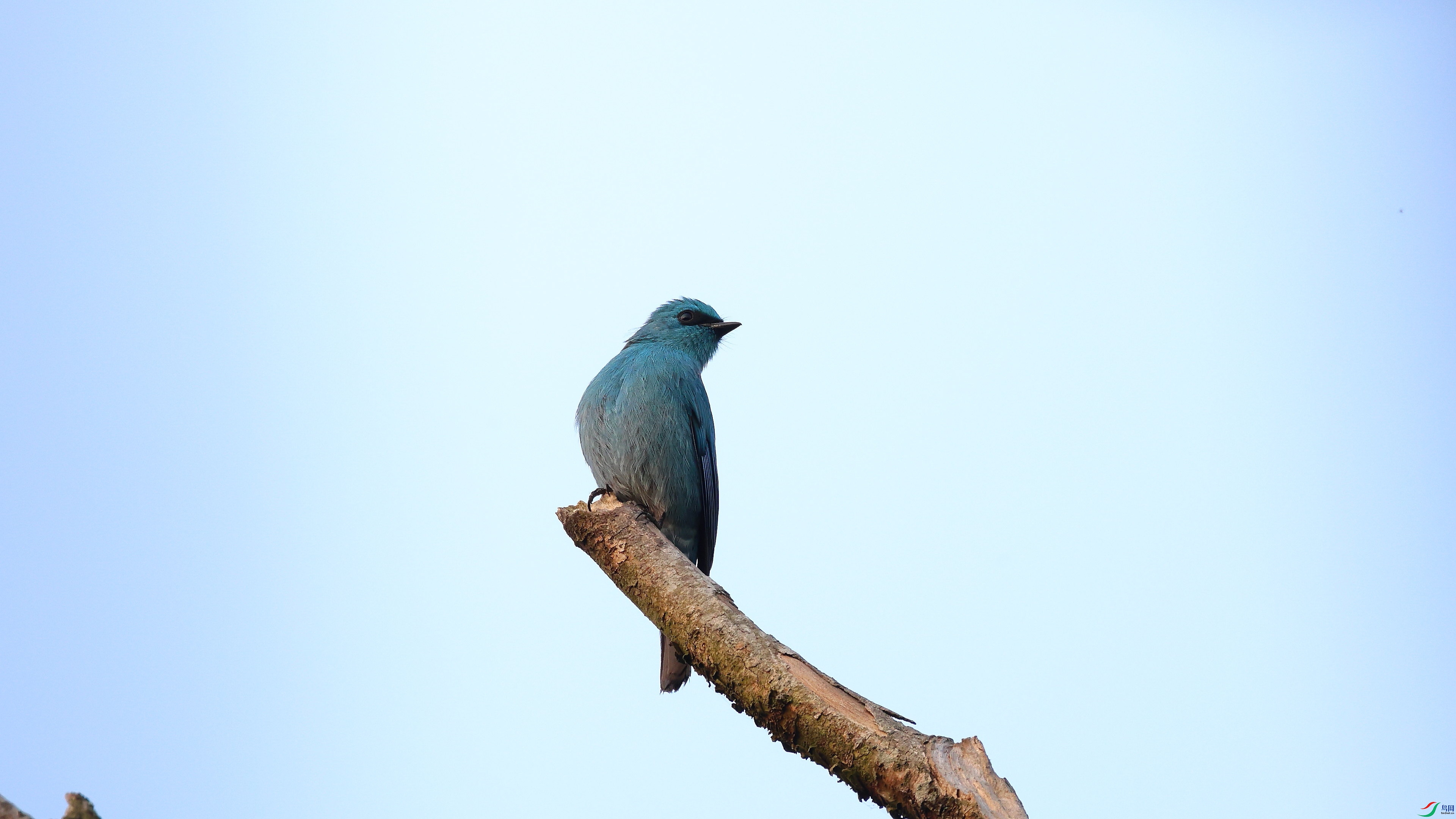 IMG_4999.JPG