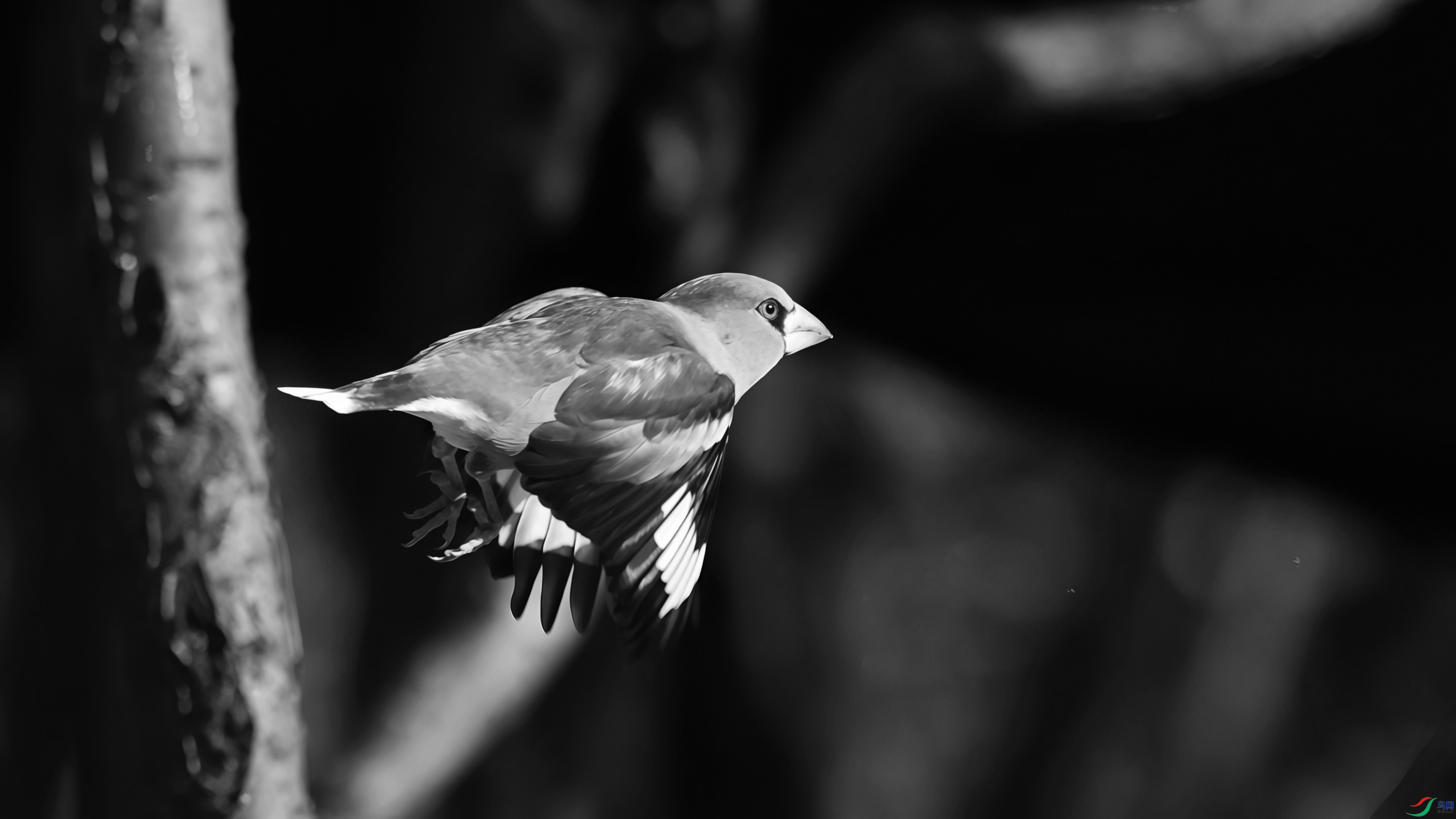 2F6A72571_����_����_����.jpg
