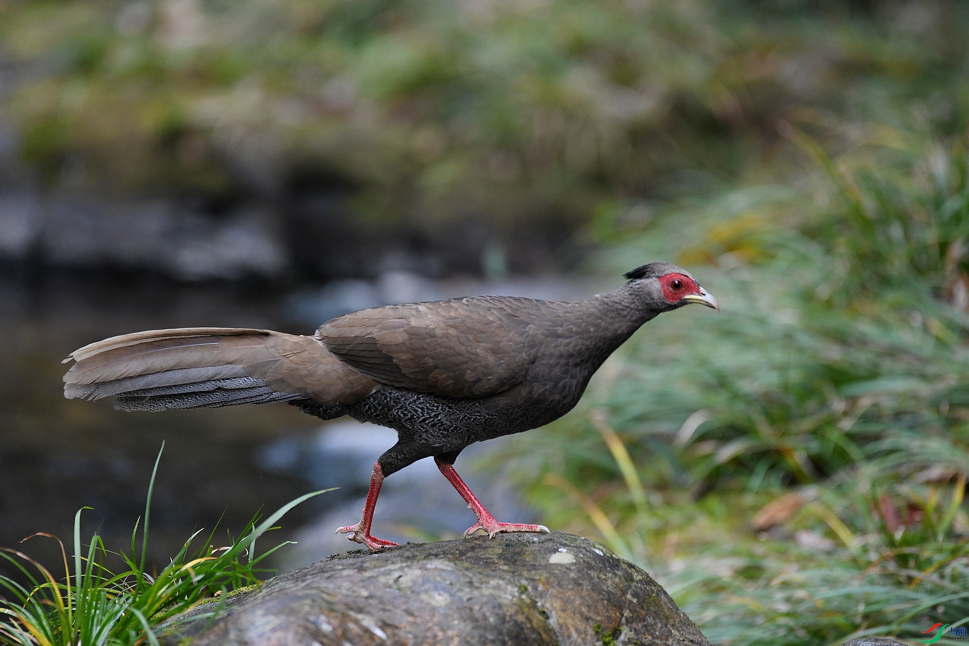 DSC_7378.jpg