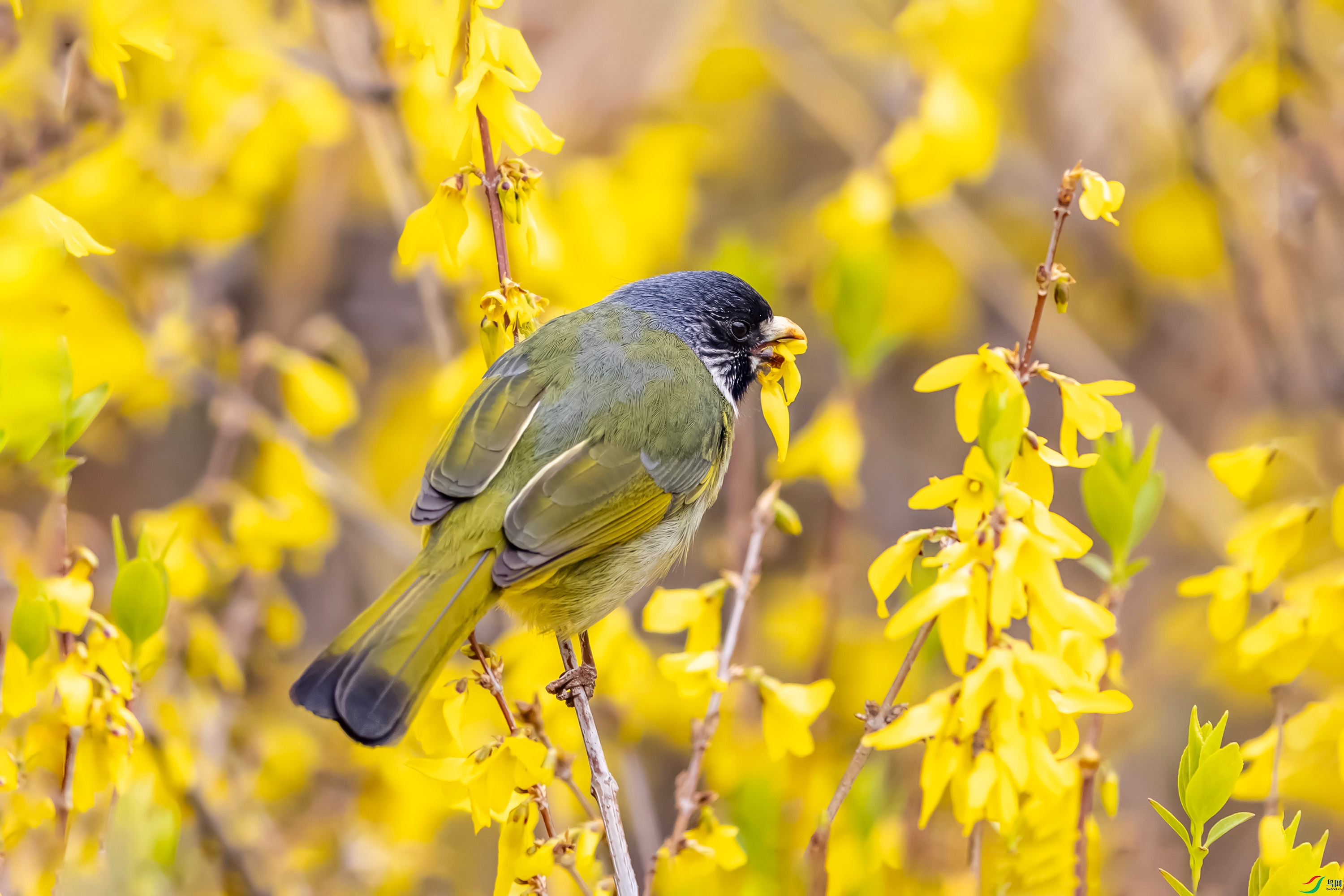 IMG_3708 ����.jpg