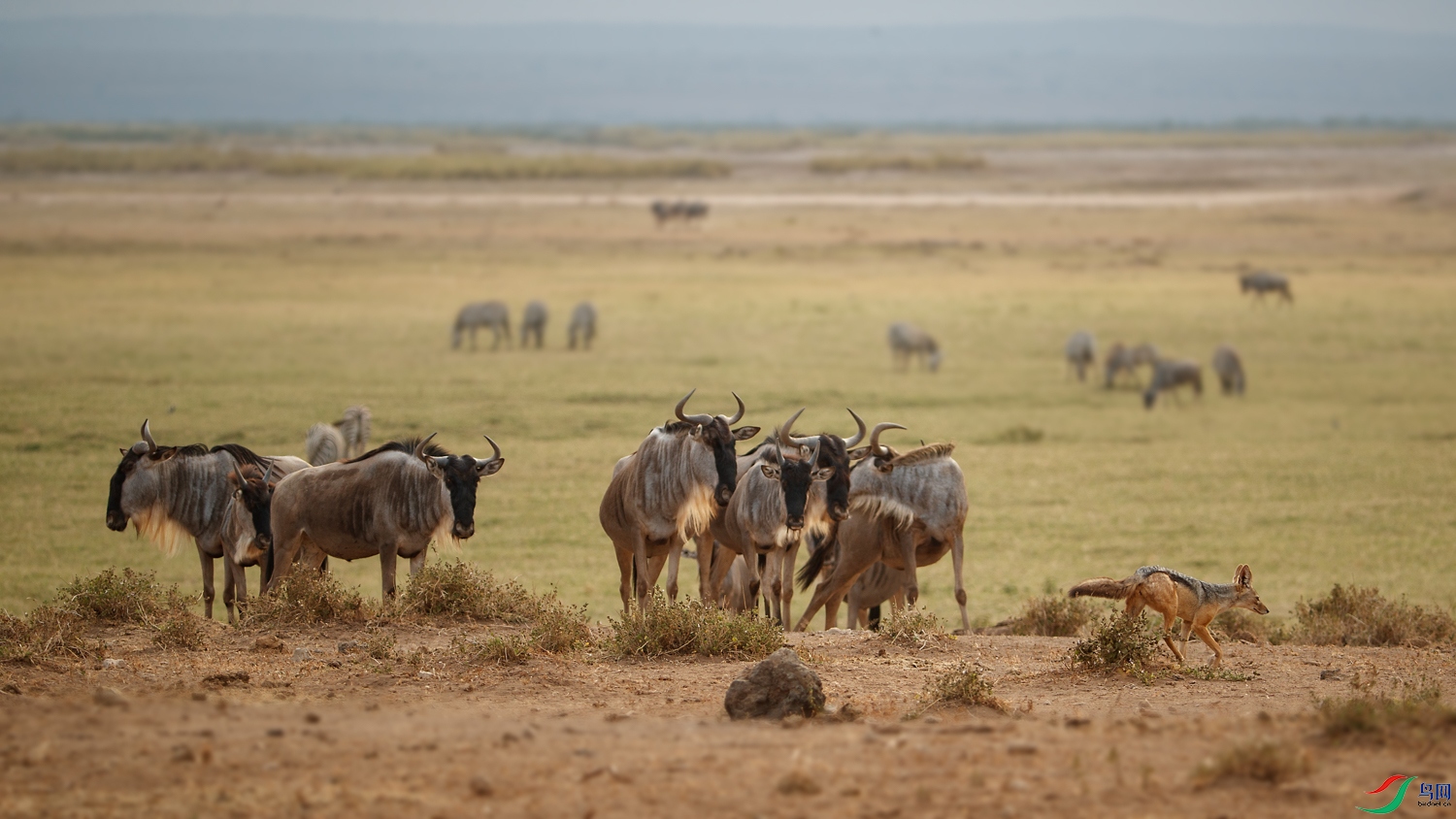 AQ9I6574 ����.jpg