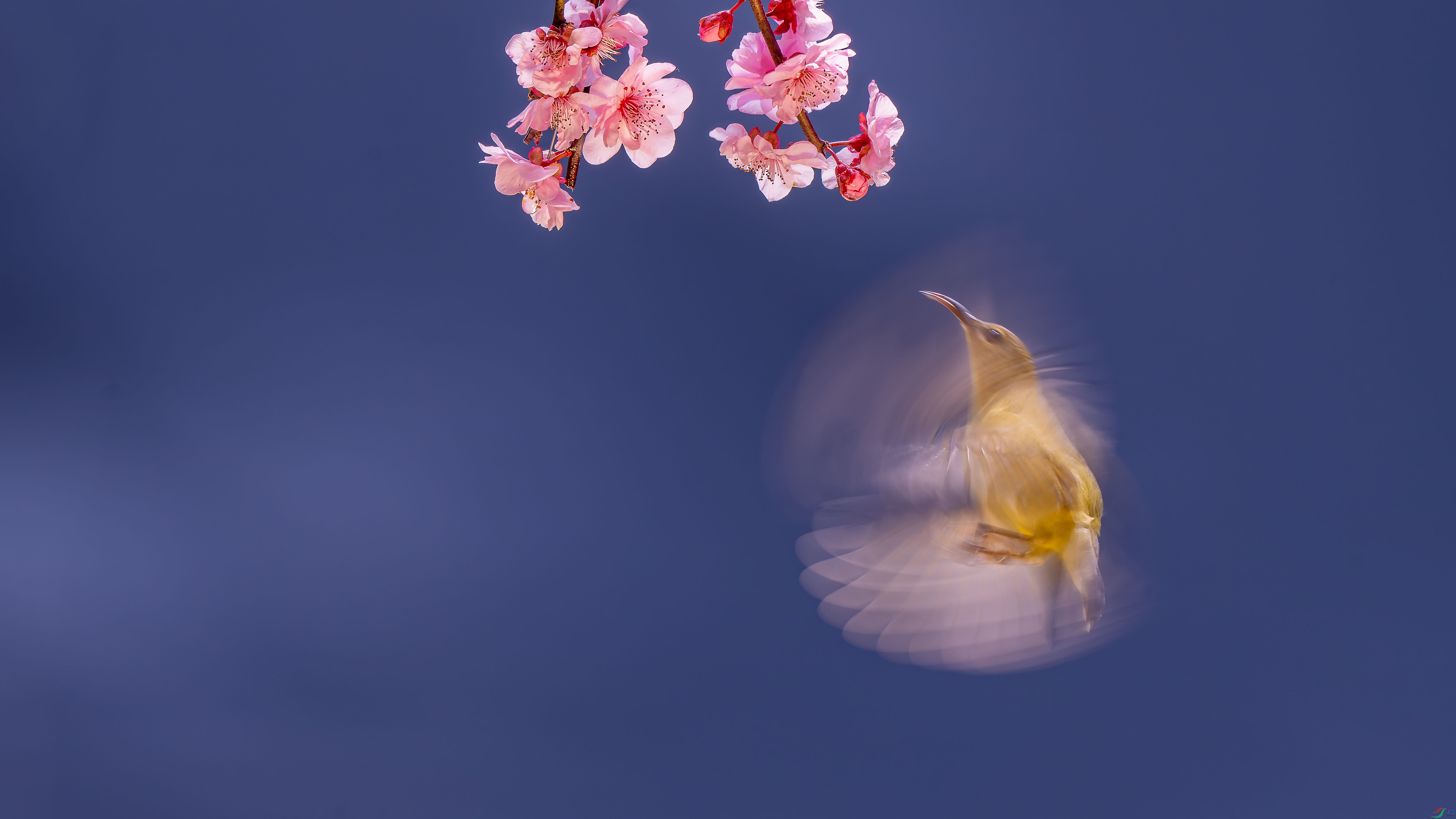 _DSC5184 ���� 2.jpg