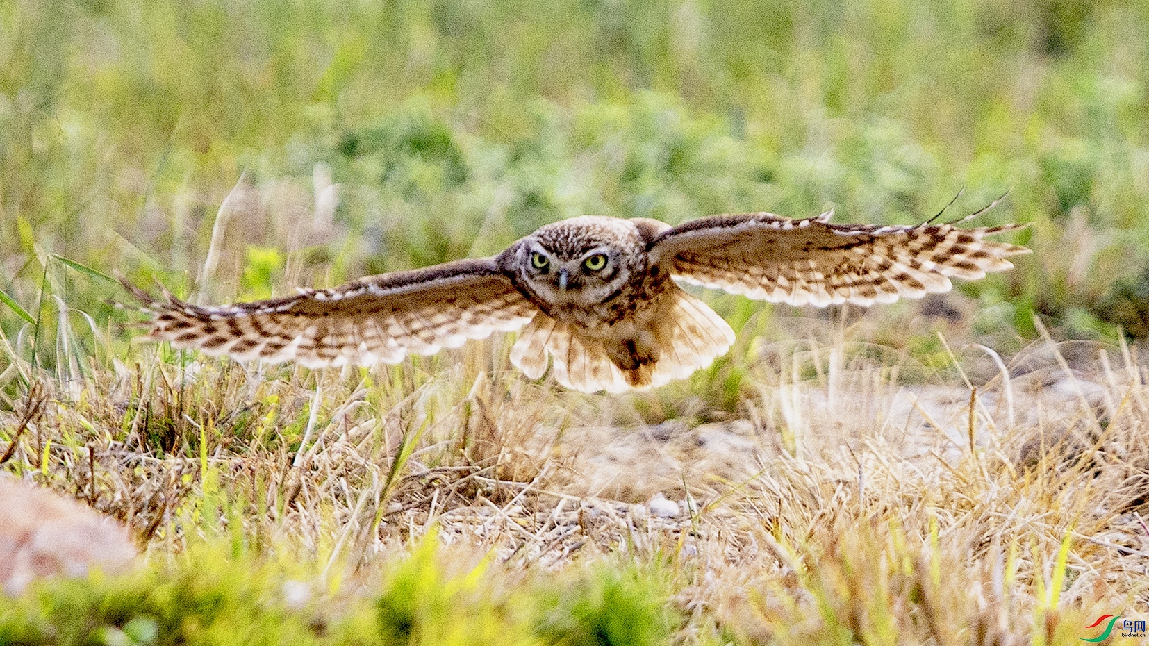 _MG_2888 ���� 2.jpg