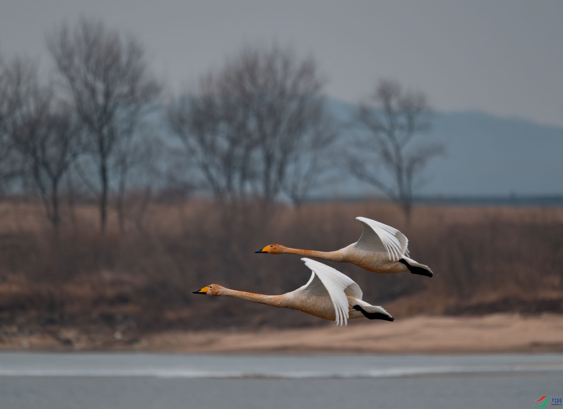 DSC_5783.jpg