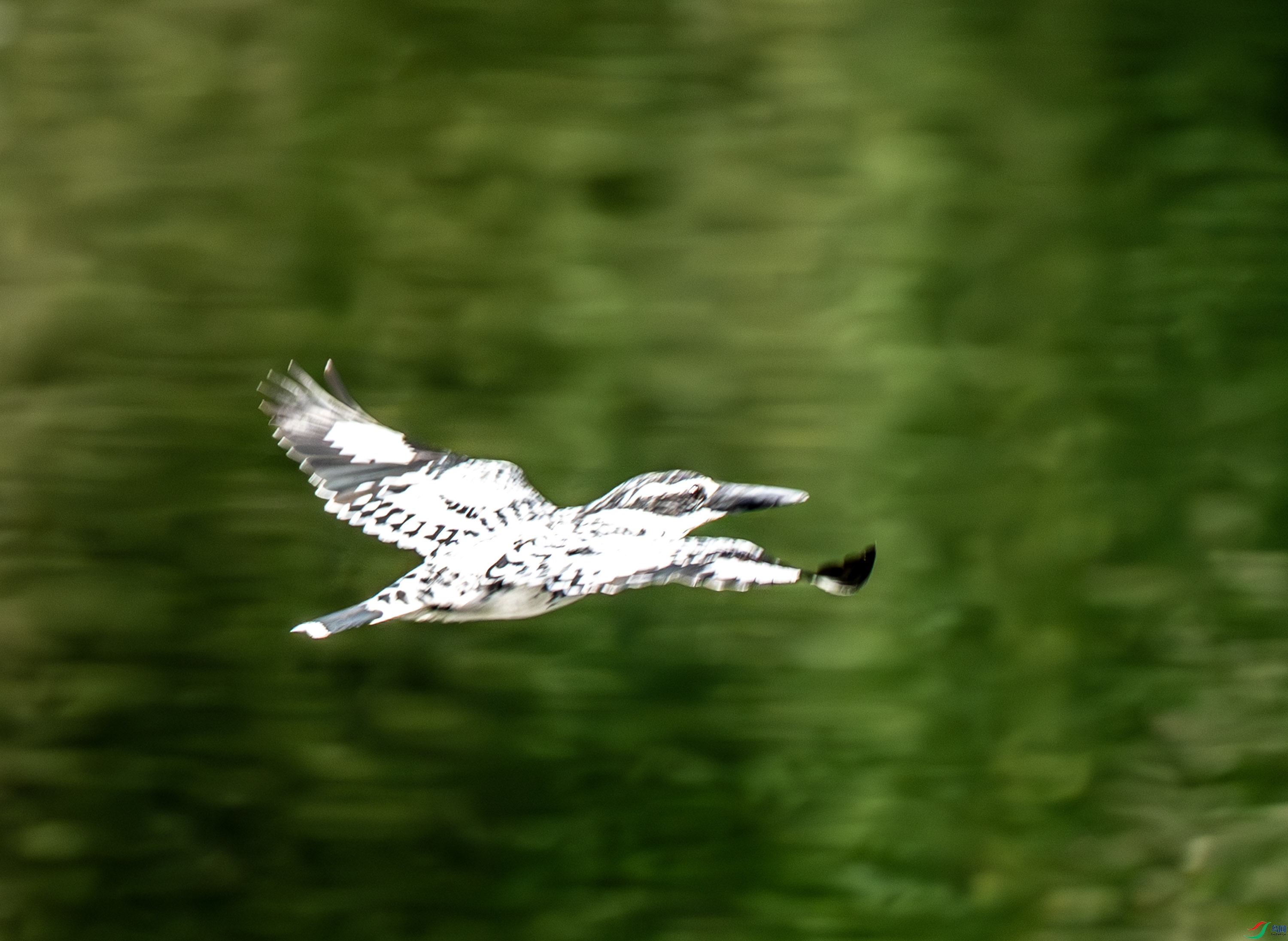 ���㹷-04-26.jpg