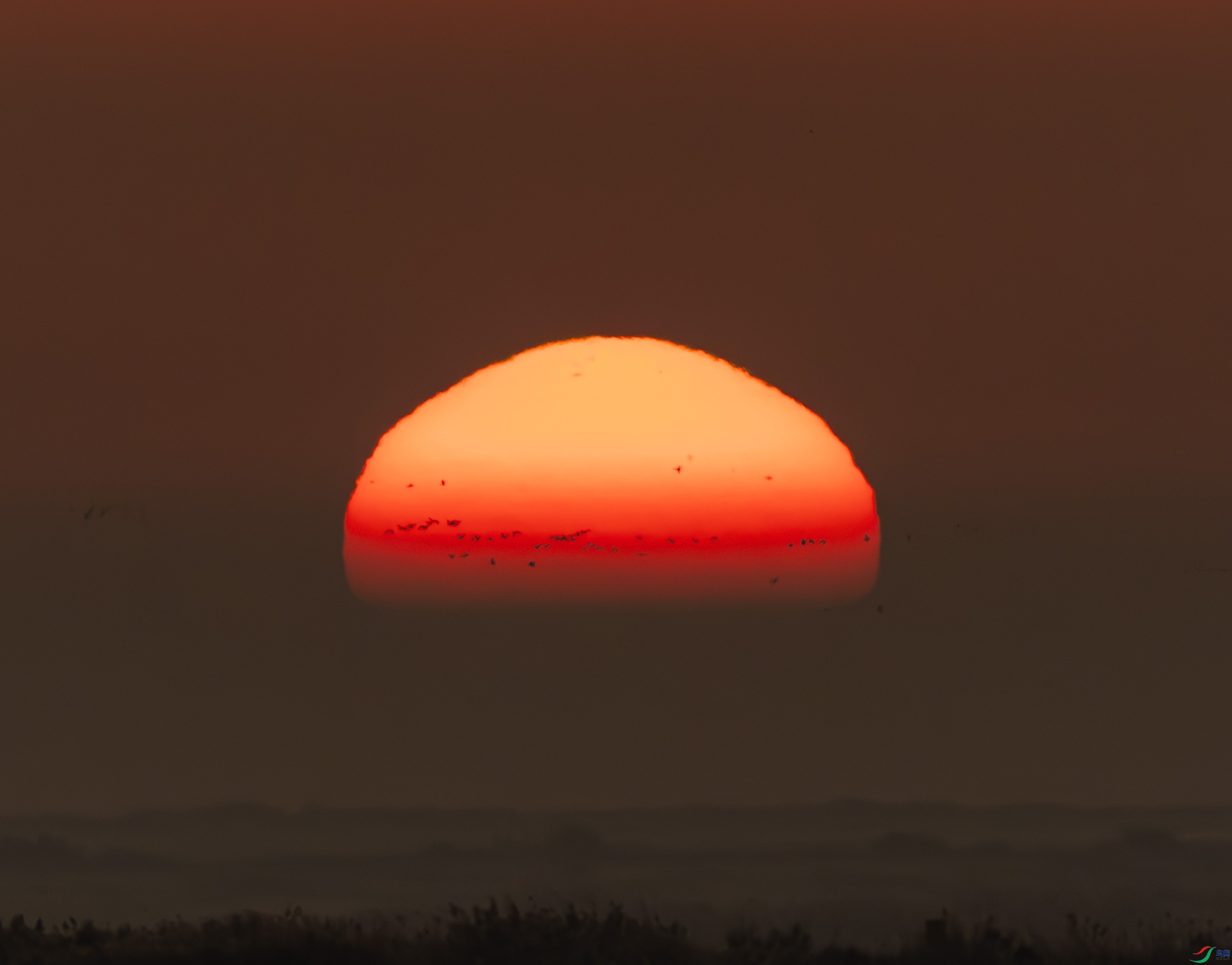 ������-01-12.jpg