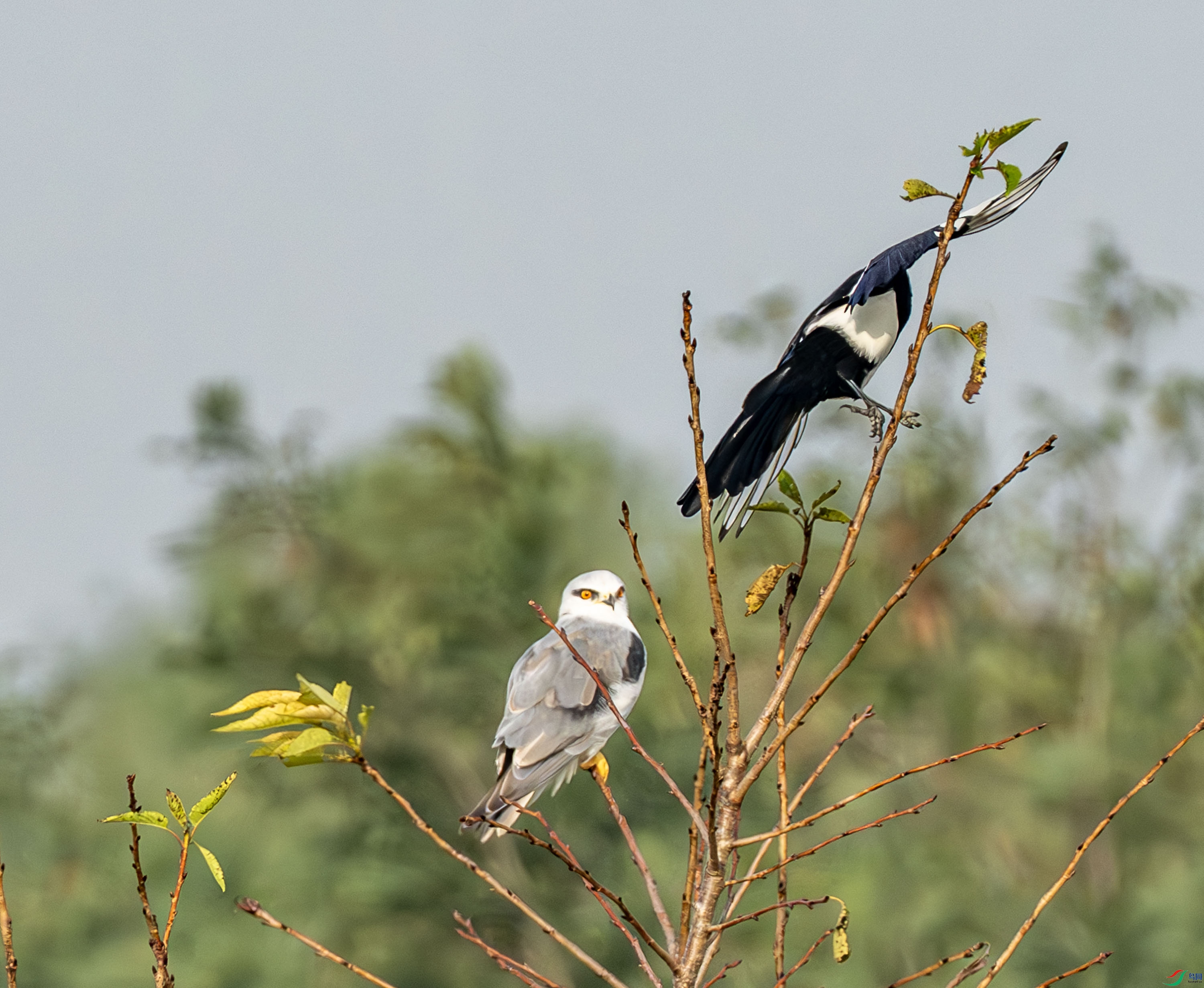 �ڳ��-39.jpg