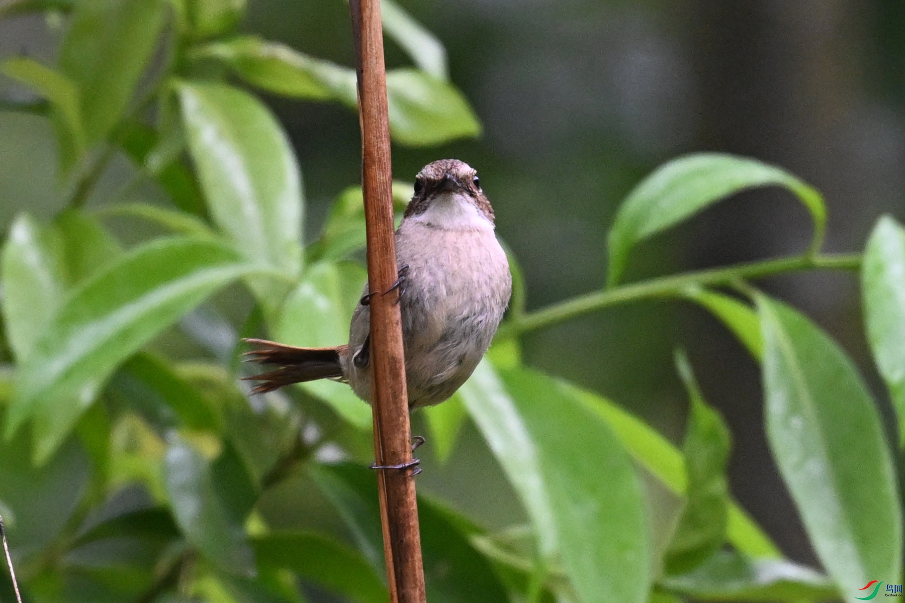DSC_2607.JPG