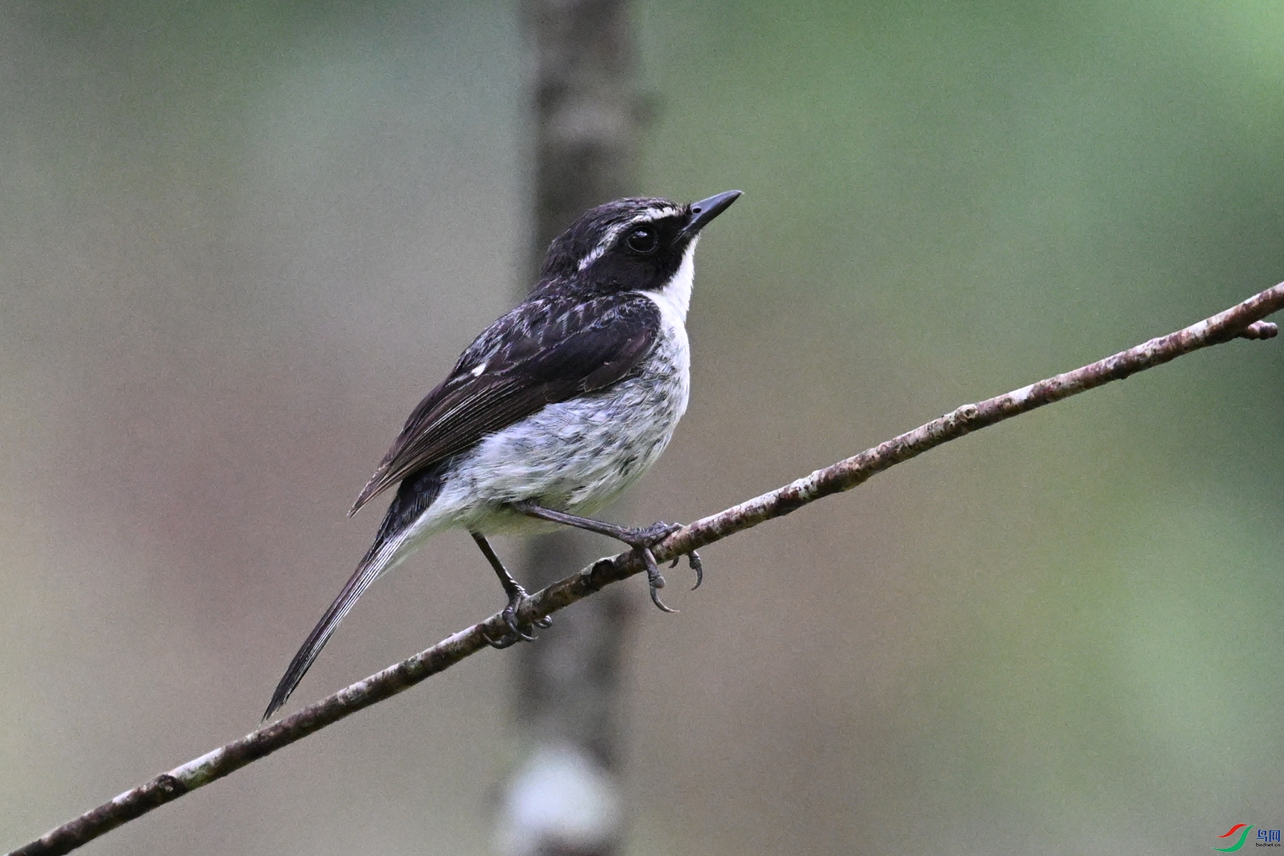 DSC_2626.JPG
