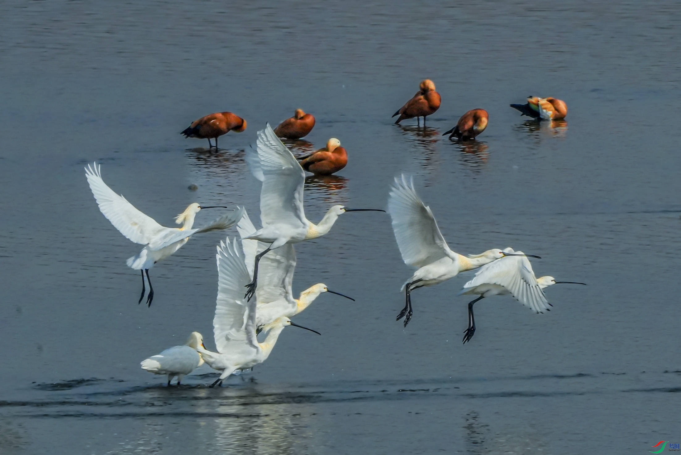 mmexport1773657952307 ����.jpg