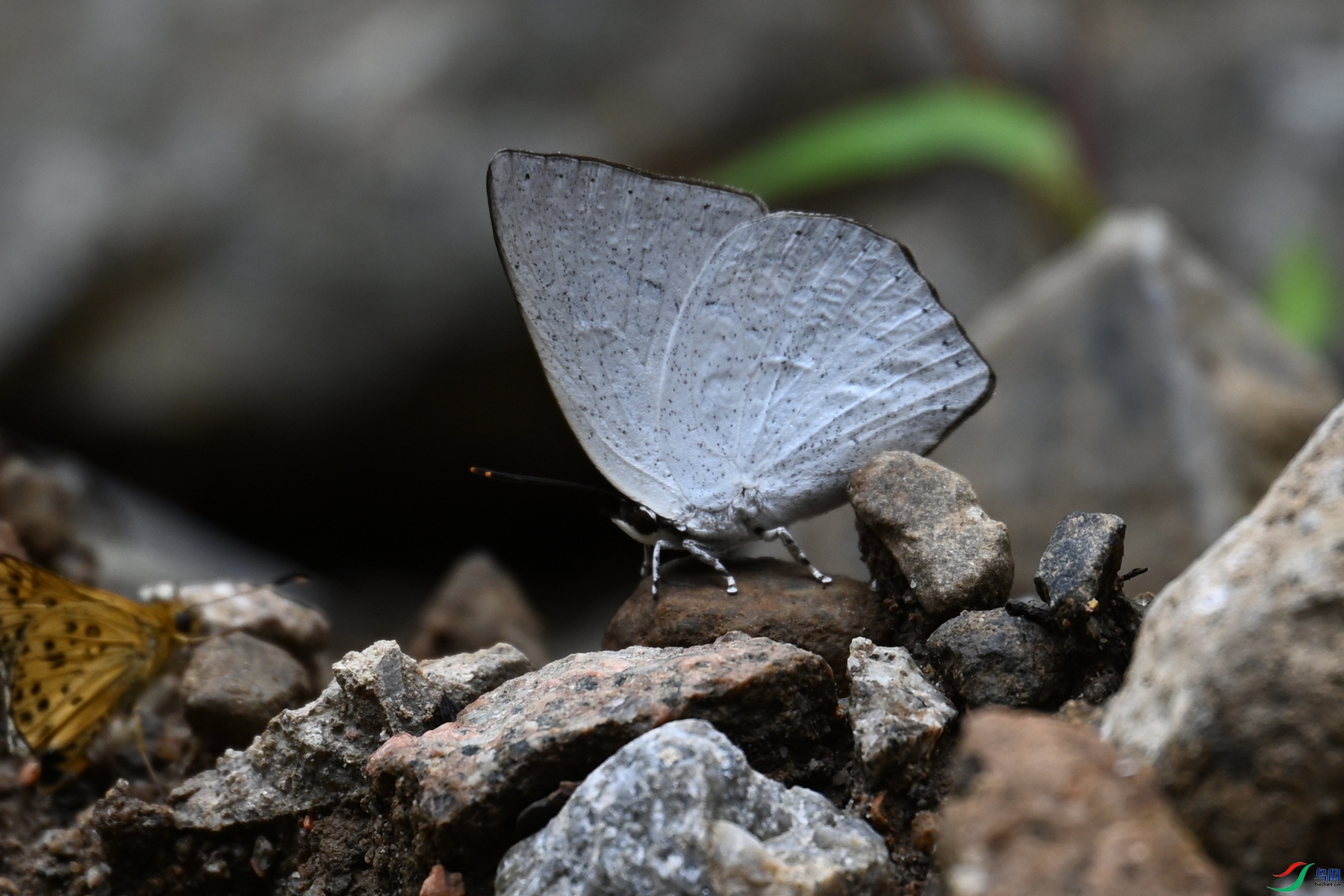DSC_2928.JPG