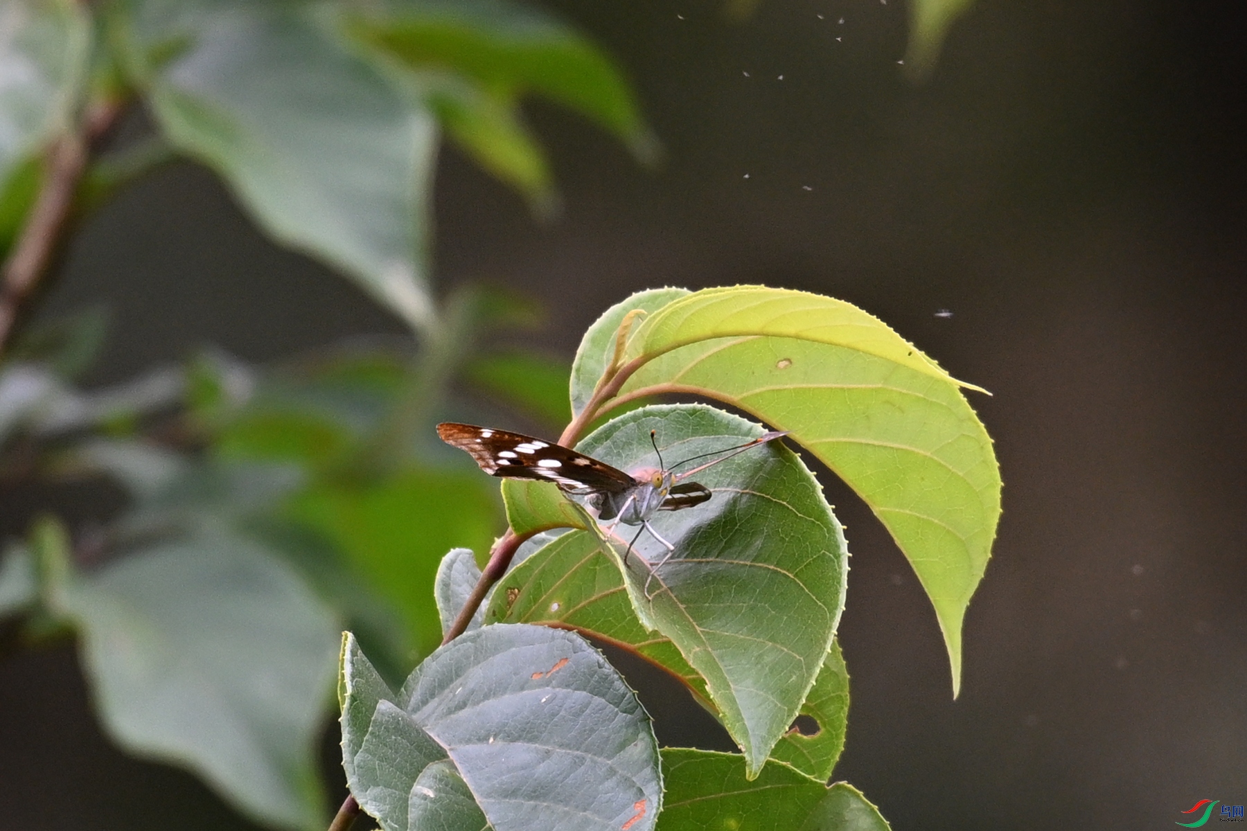 DSC_3404.JPG