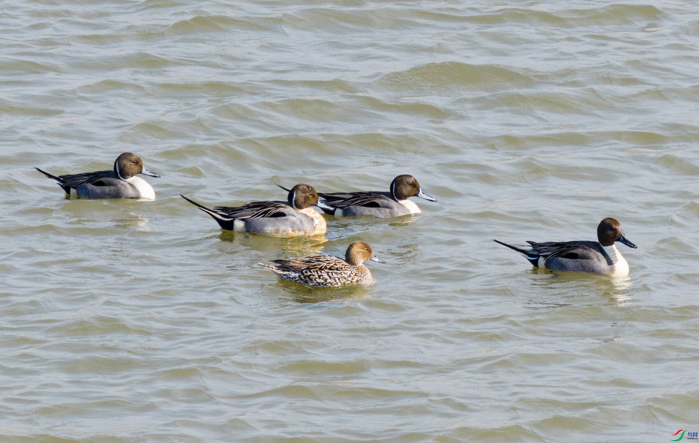 DJI_20260319094403_0275_D ����.jpg