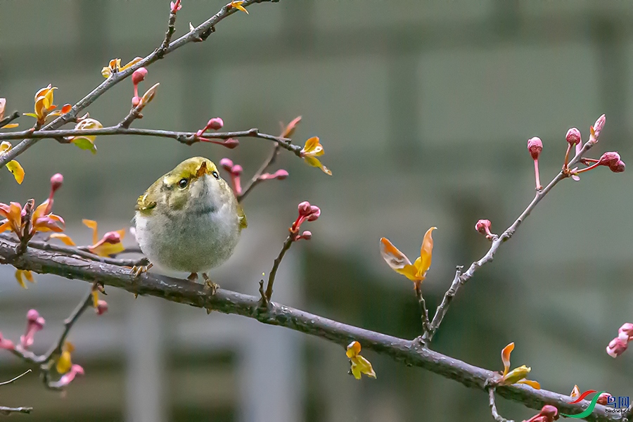 DSC_0510A.jpg