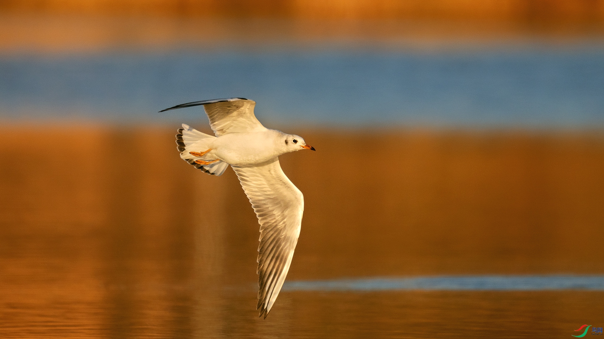 DSC06195 ����.jpg