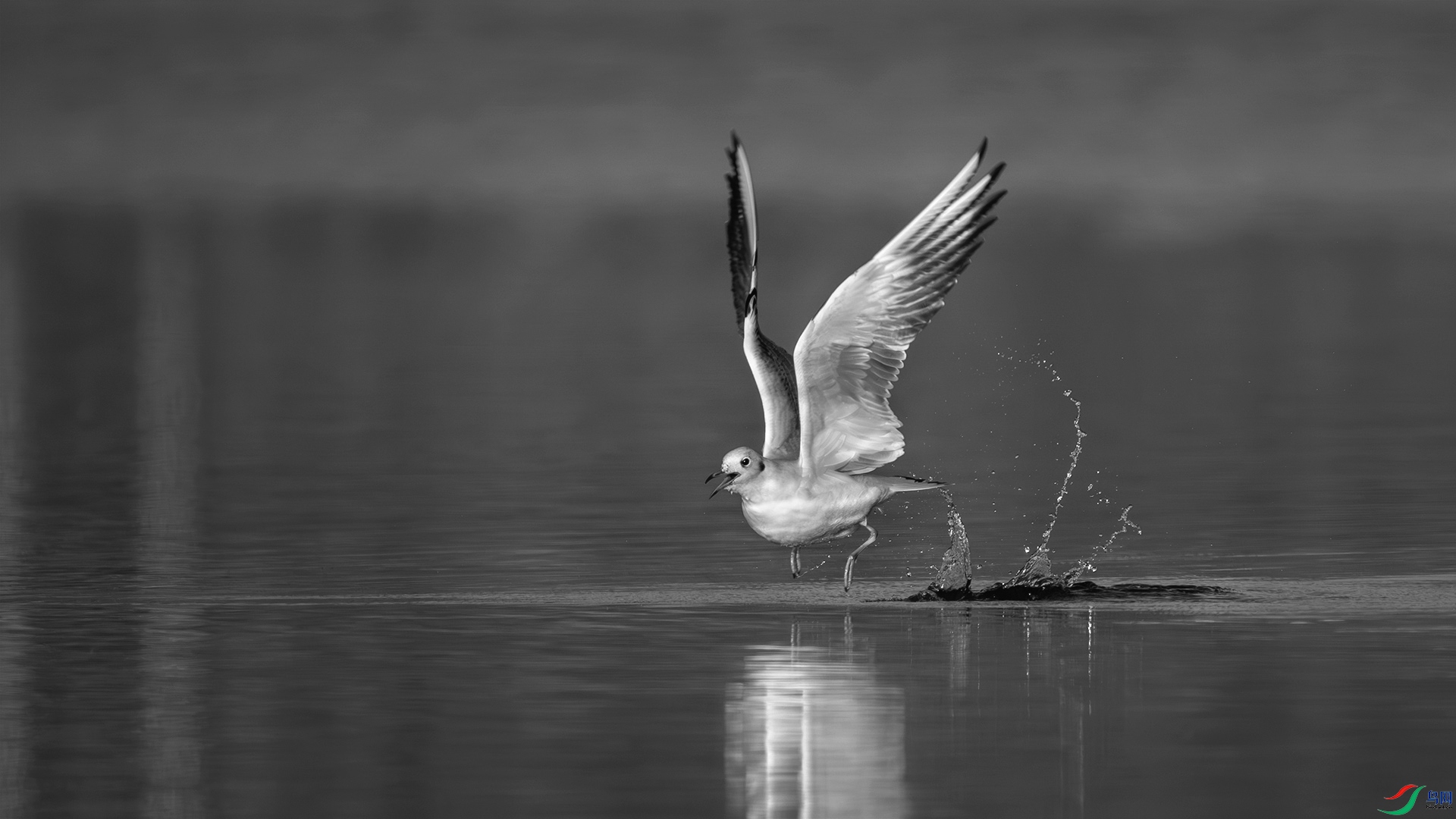 DSC06182 ���� 2.jpg