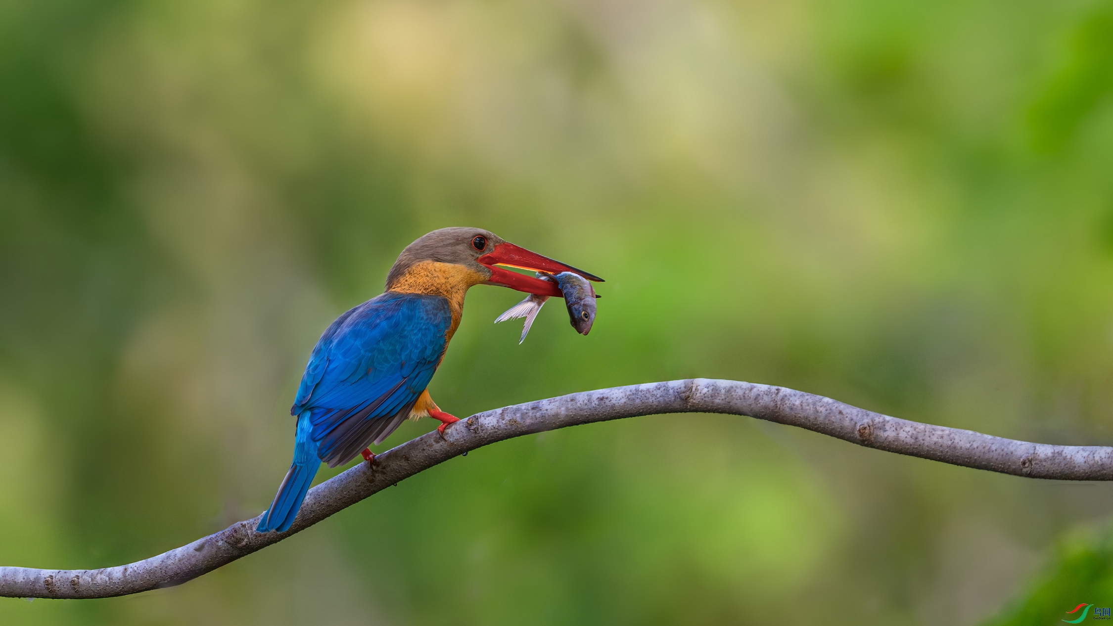 DSC_2621-����ǿ-NR-1 ���� 201.jpg