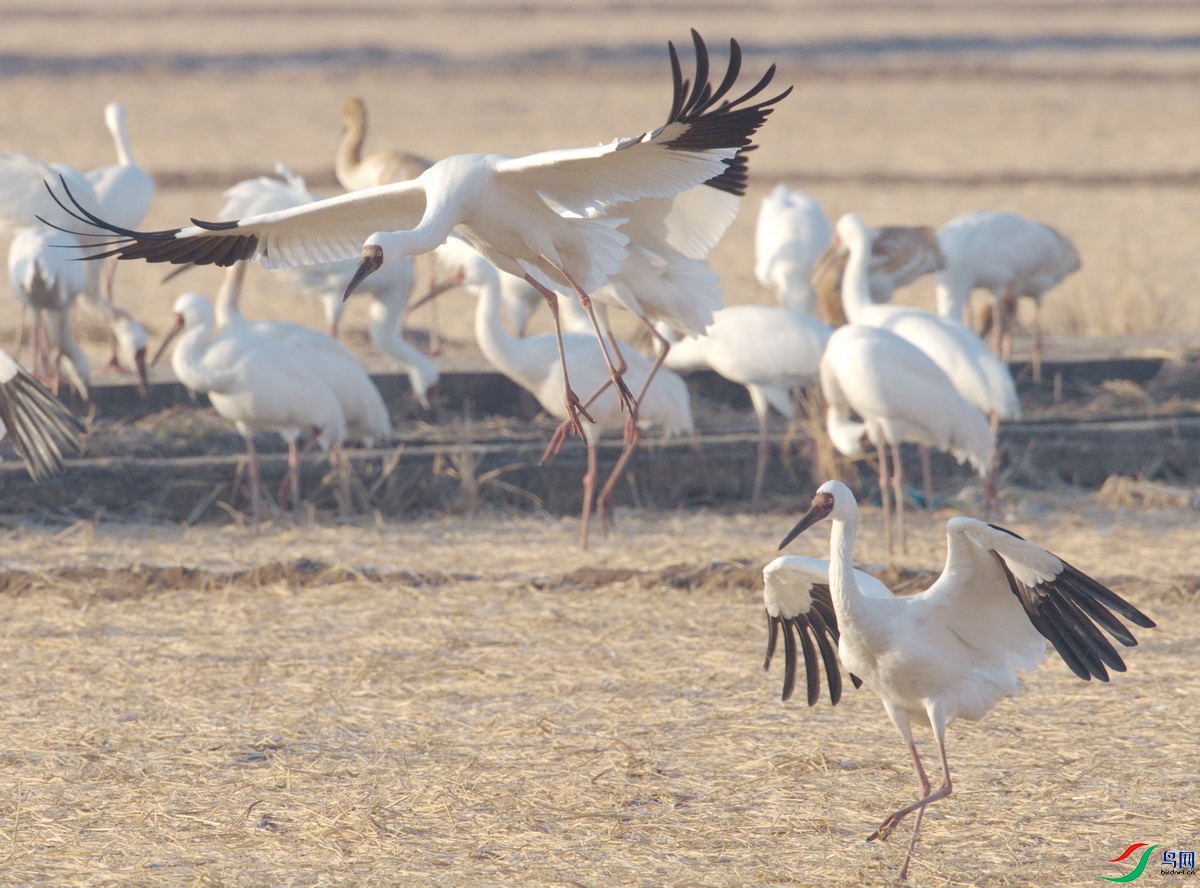 _DSC1123zz_������С.jpg