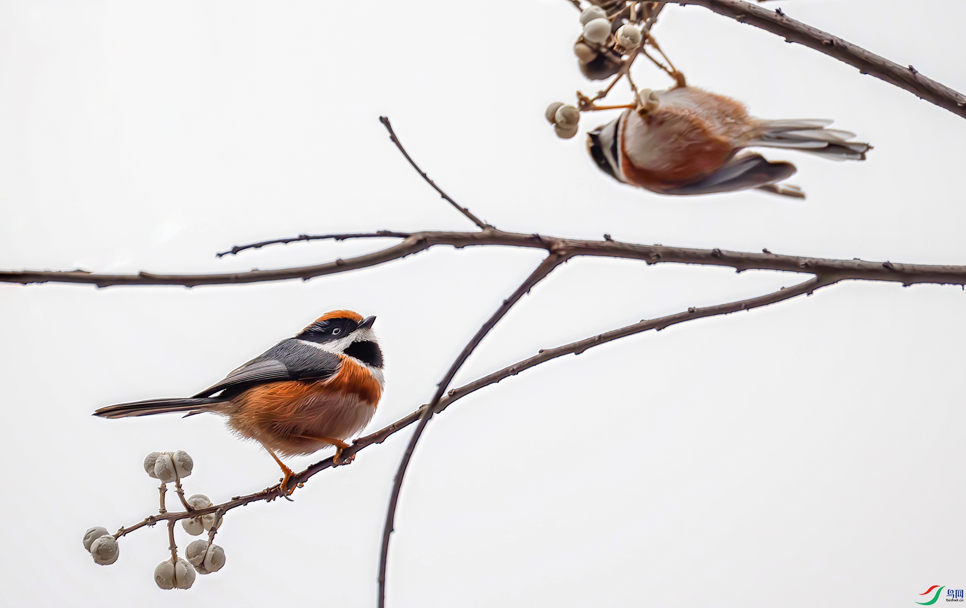 407A6272------33  .jpg