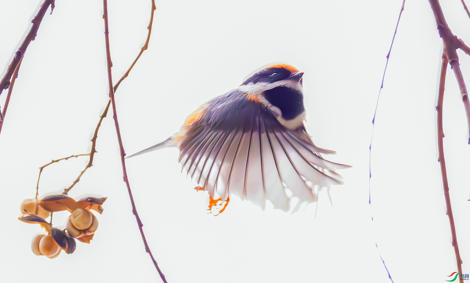 407A6611------33  .jpg