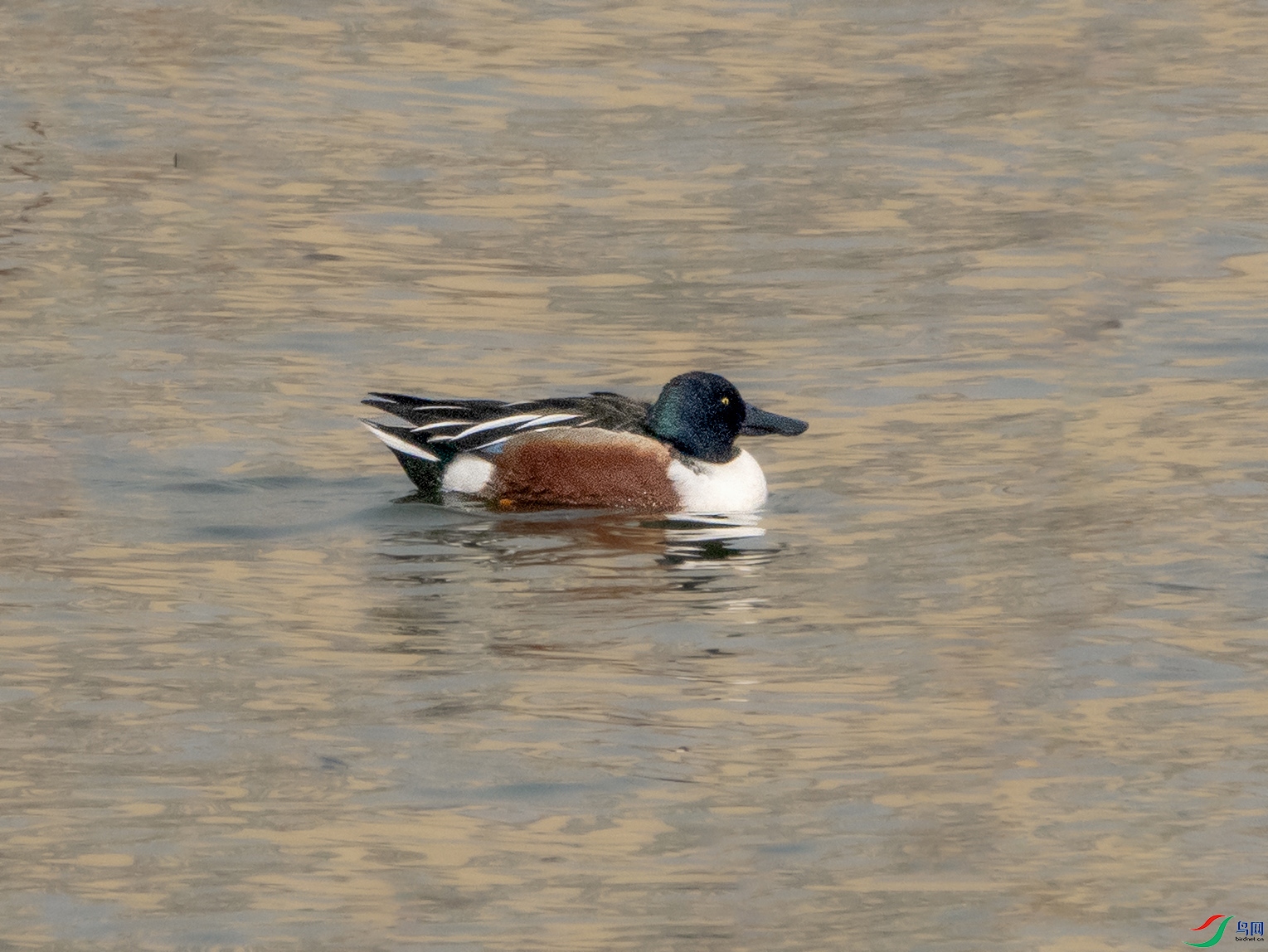 DSC05457 ����.jpg