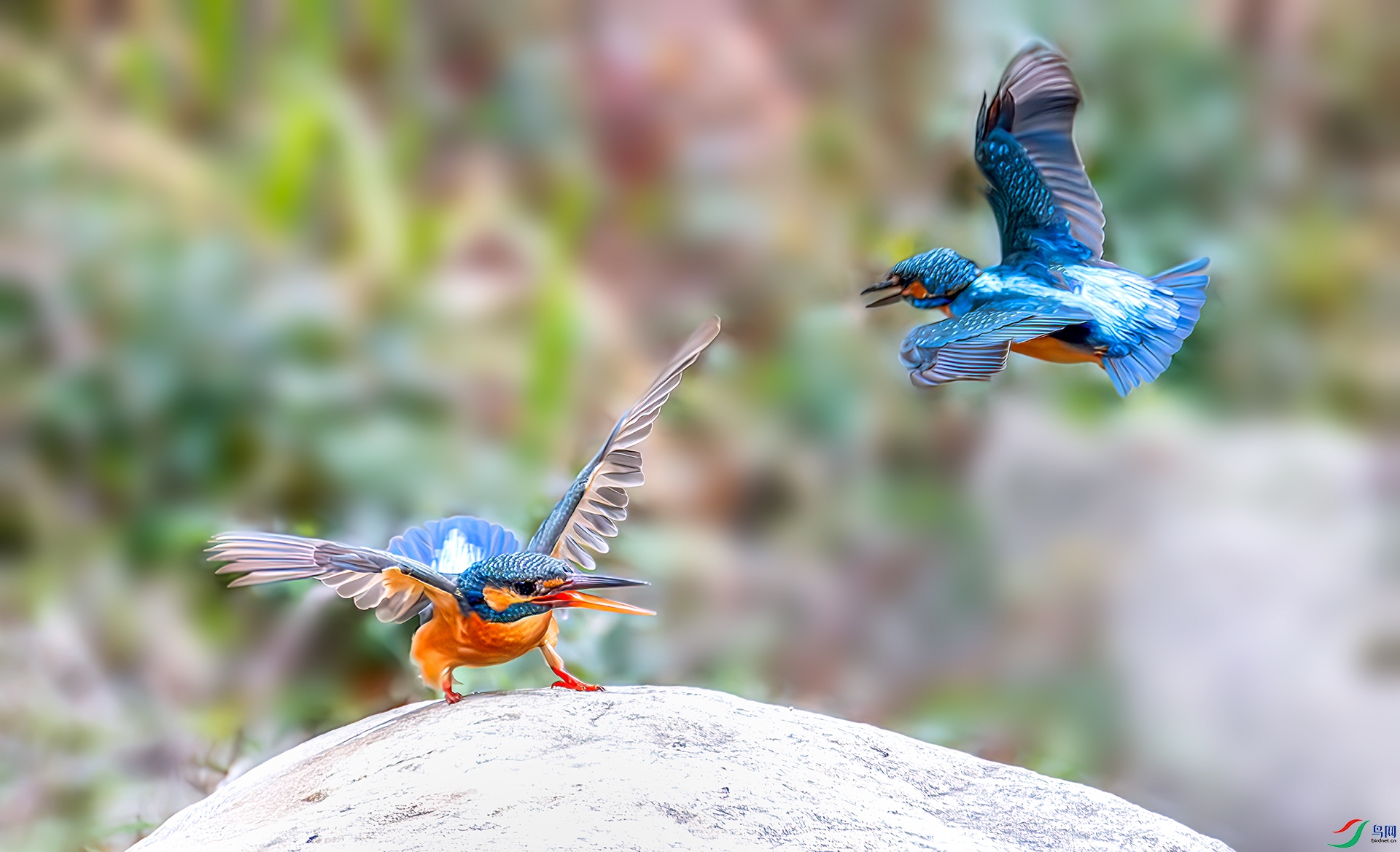 407A5670-----33  .jpg