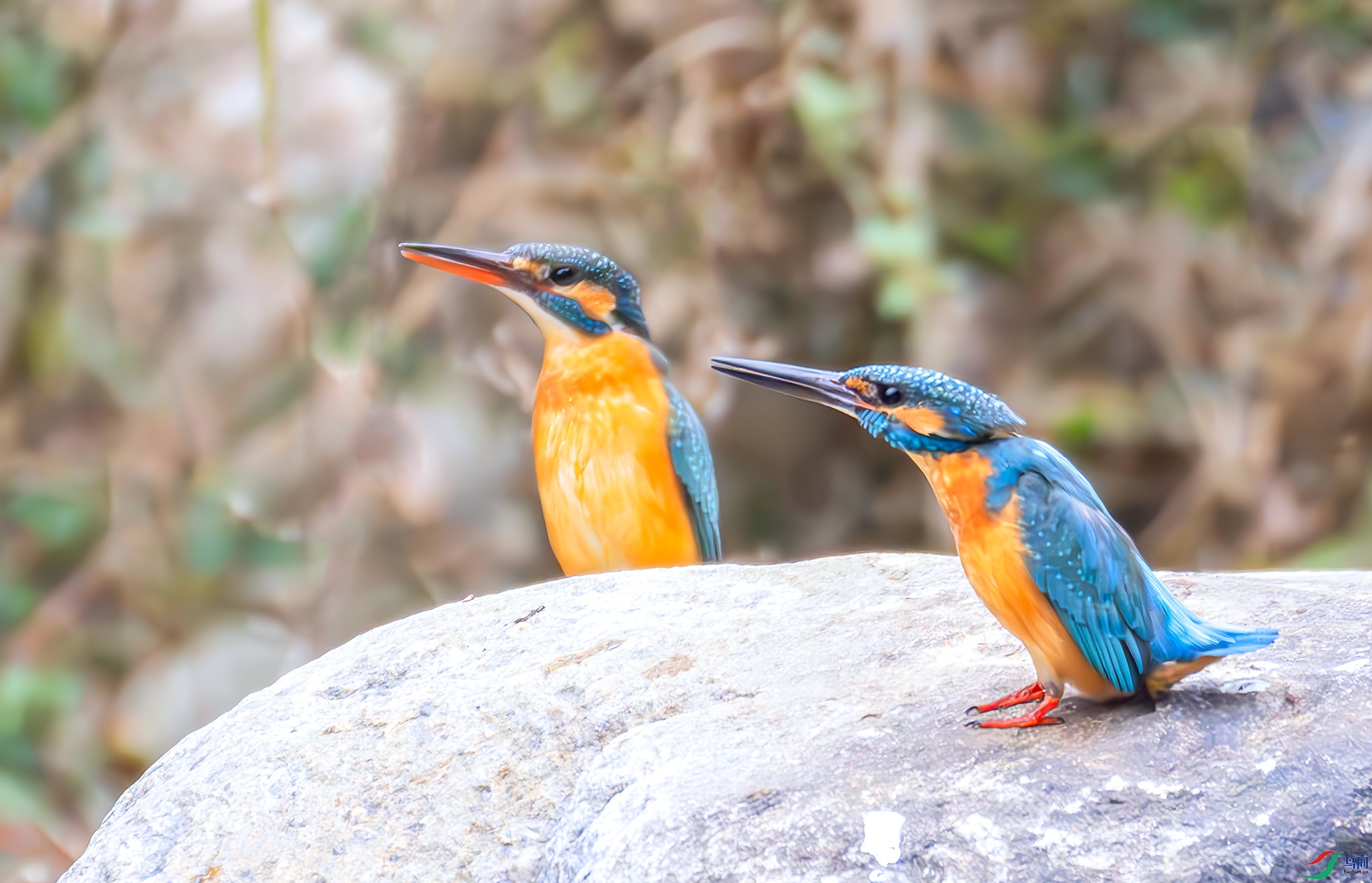 407A5770-----323  .jpg