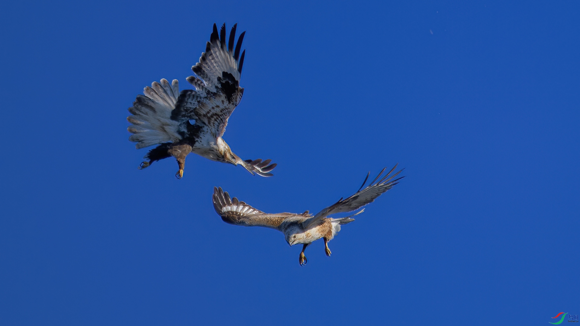 DSC_8004-1-20250119�ü�.jpg