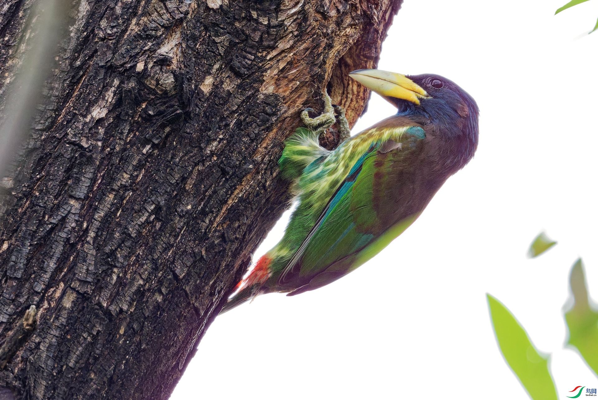 DSC_6517-DxO_DeepPRIME XD3_DxO_����_����.jpg