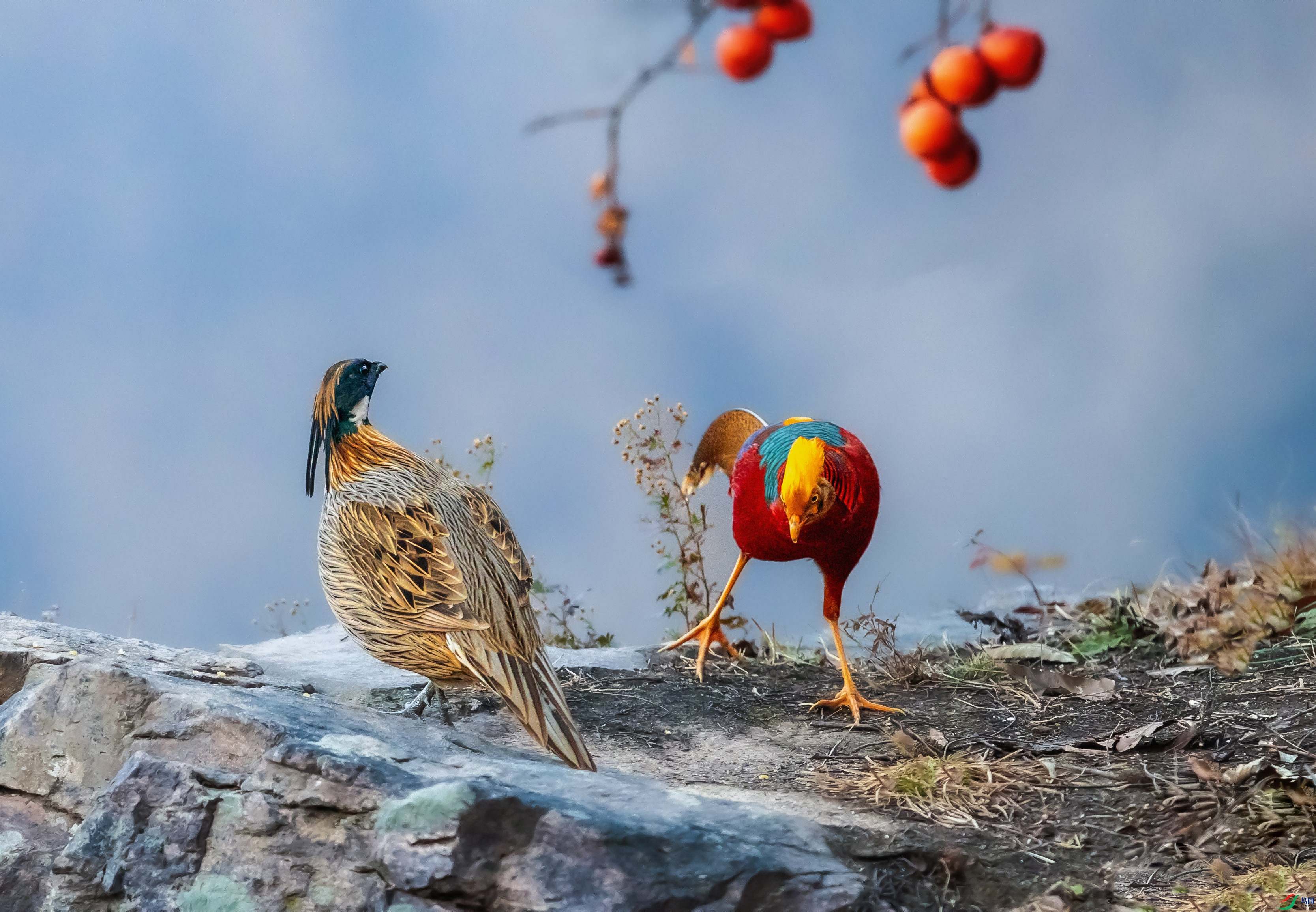 _24I3562 ���� 2.jpg