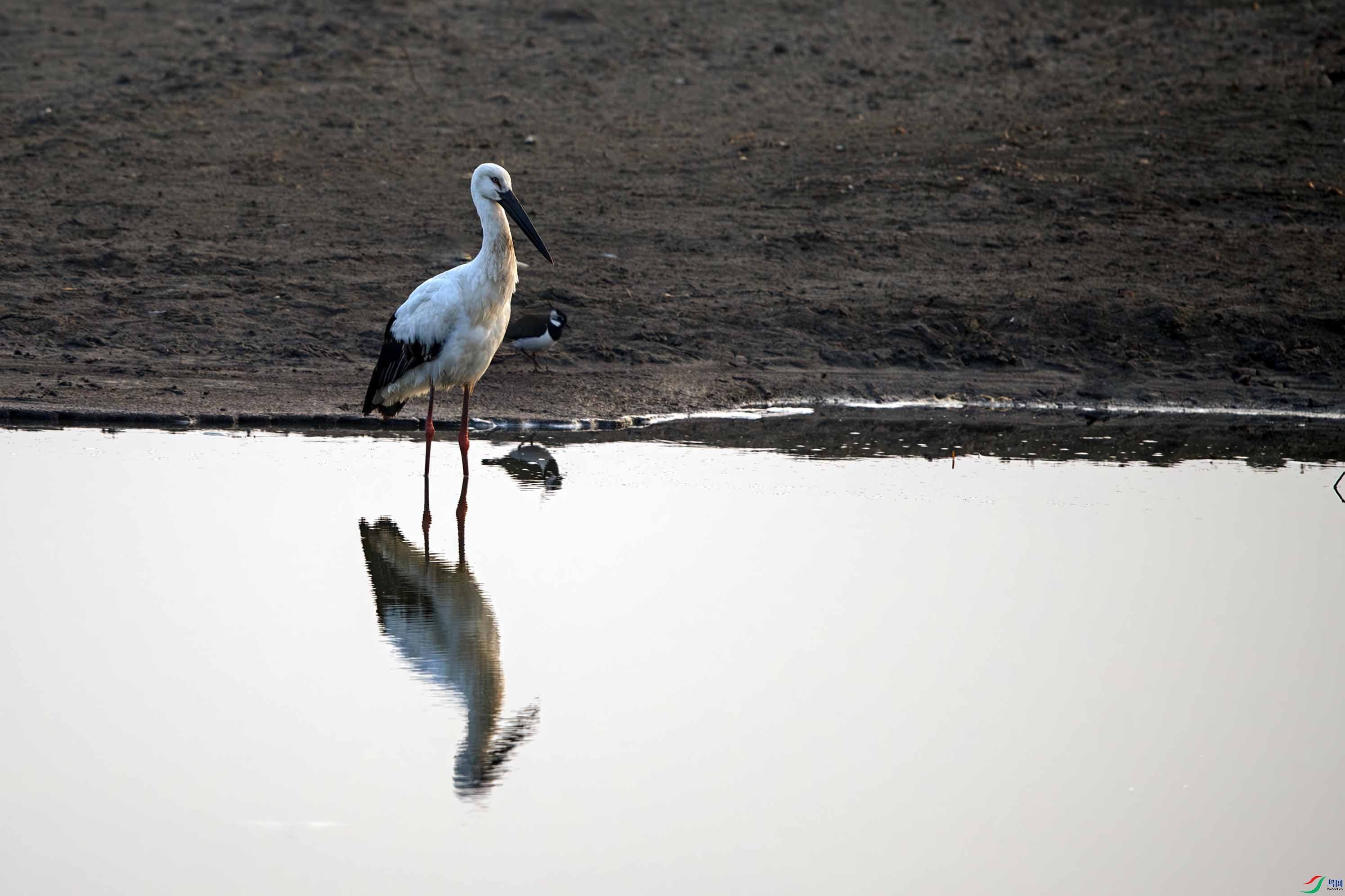 _LYF0729-����ǿ-NR ����.jpg