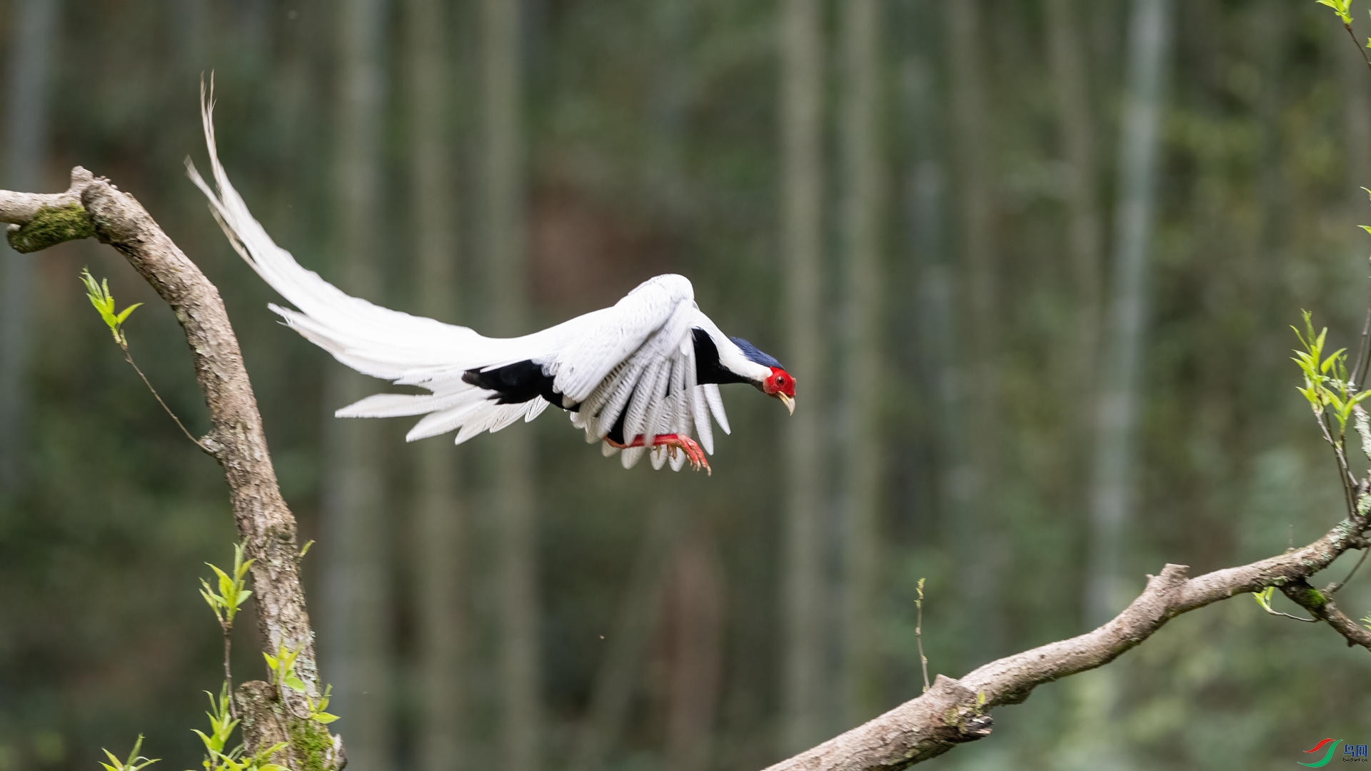 _DSC0528 ����.jpg