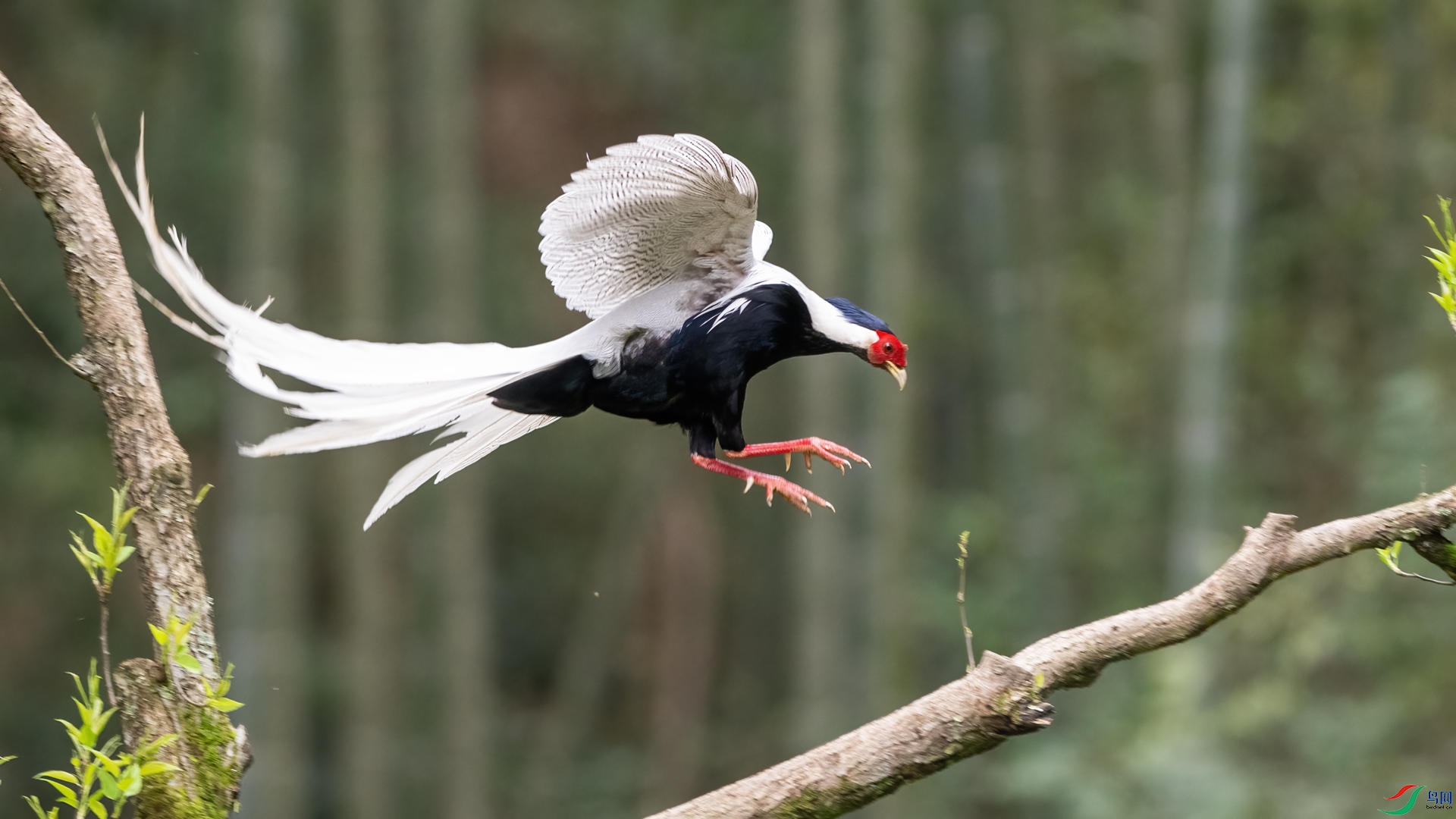 _DSC0529 ����.jpg