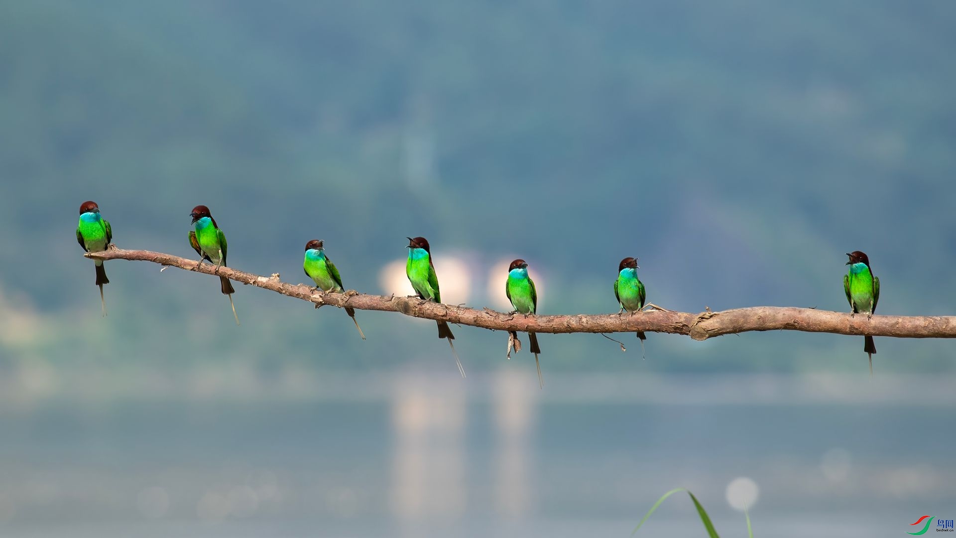 _DSC6487 ����.jpg