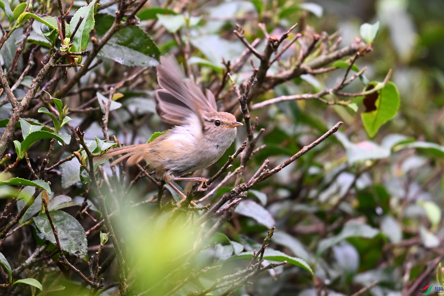 DSC_2636.JPG