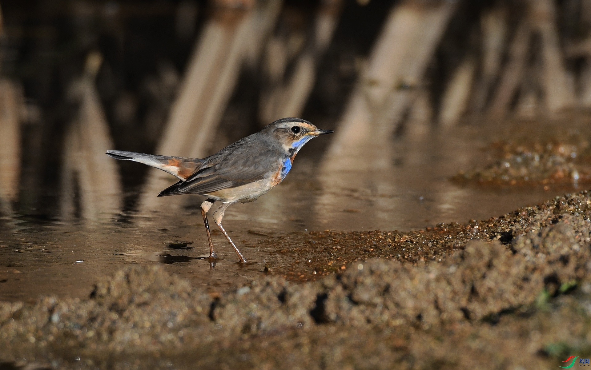 DSC_5213.jpg
