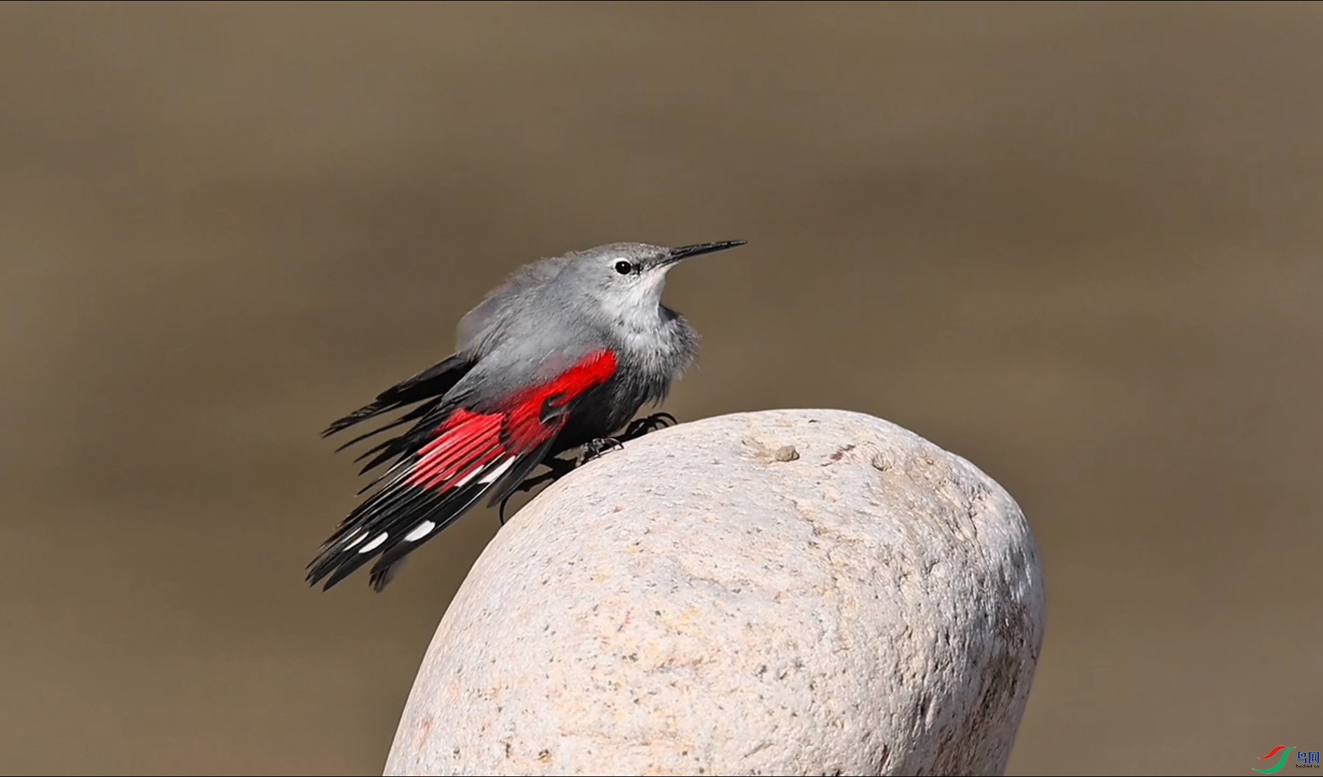 2��4�� (4)(7)-1.jpg