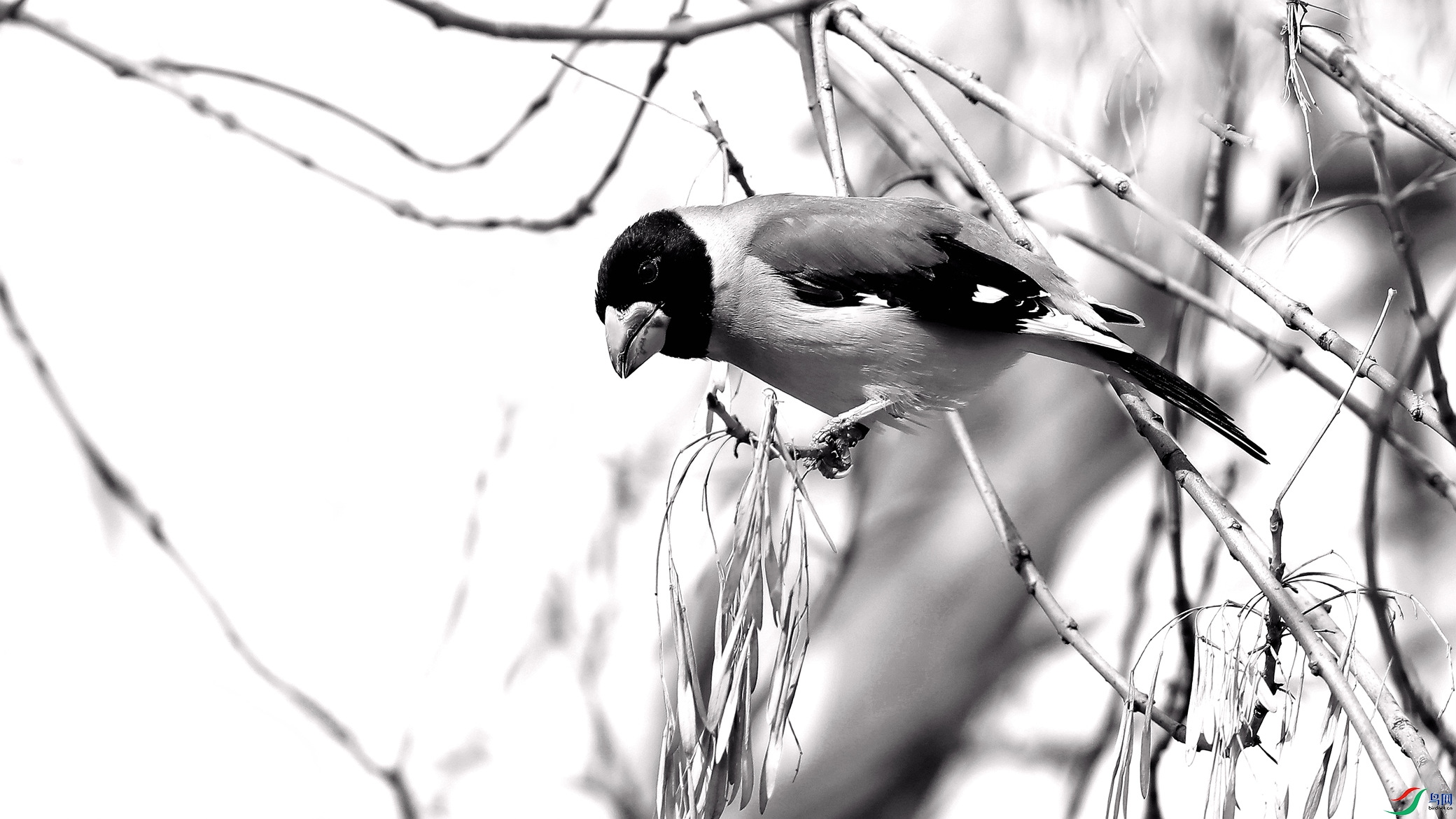 ���ͷ~��β����ȸ