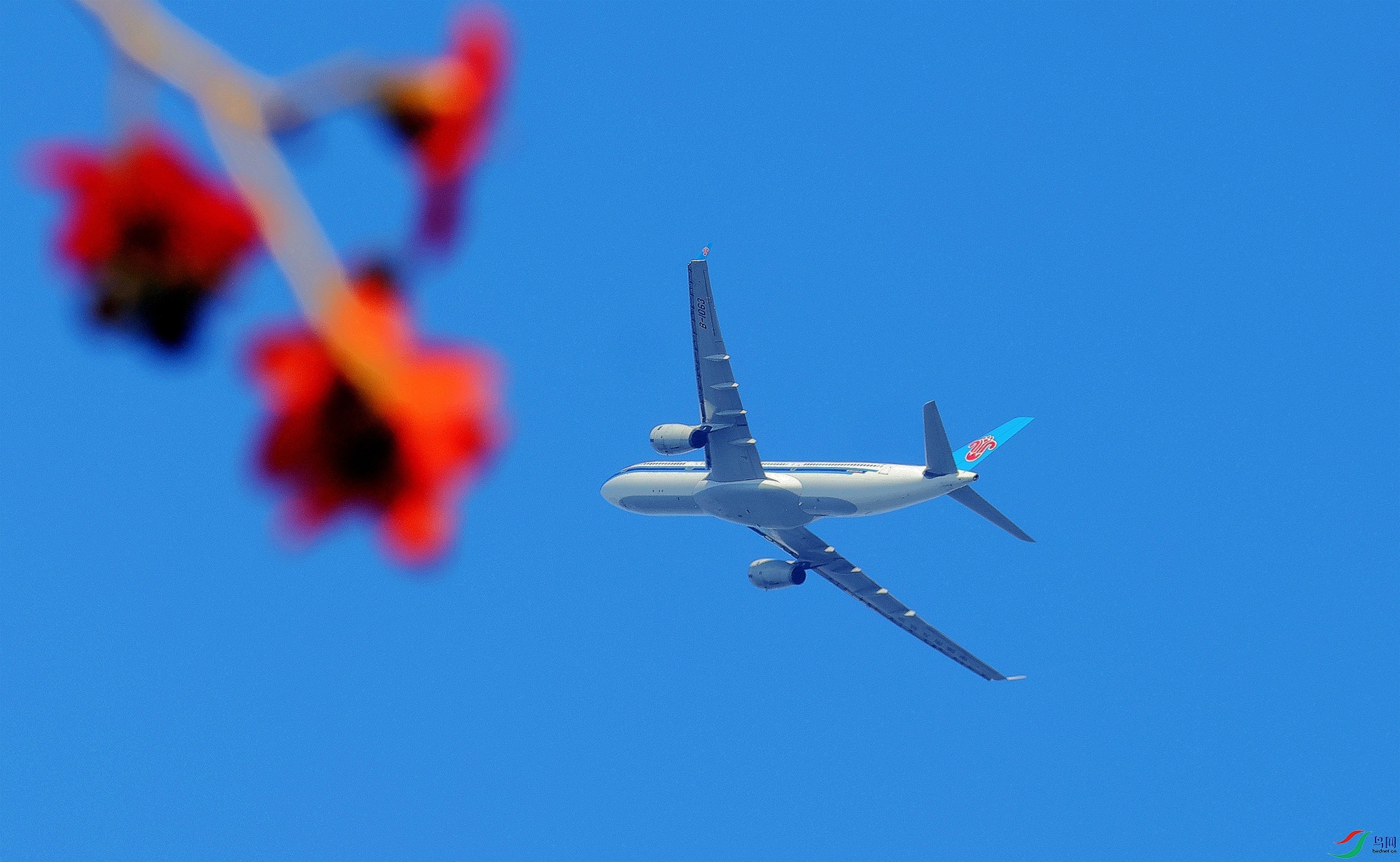 �Ϸ�����