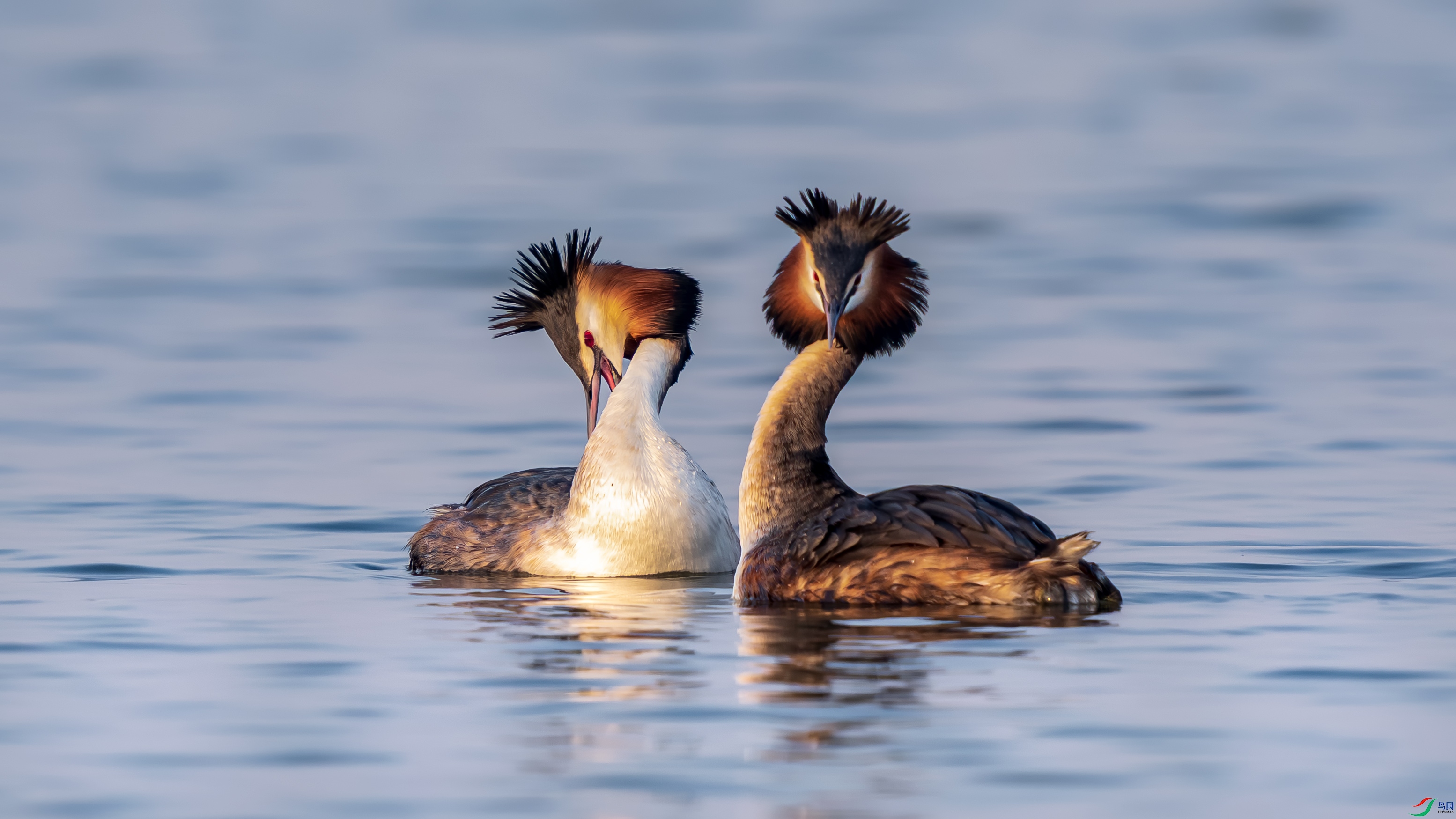 a_DSC6700_����.jpg